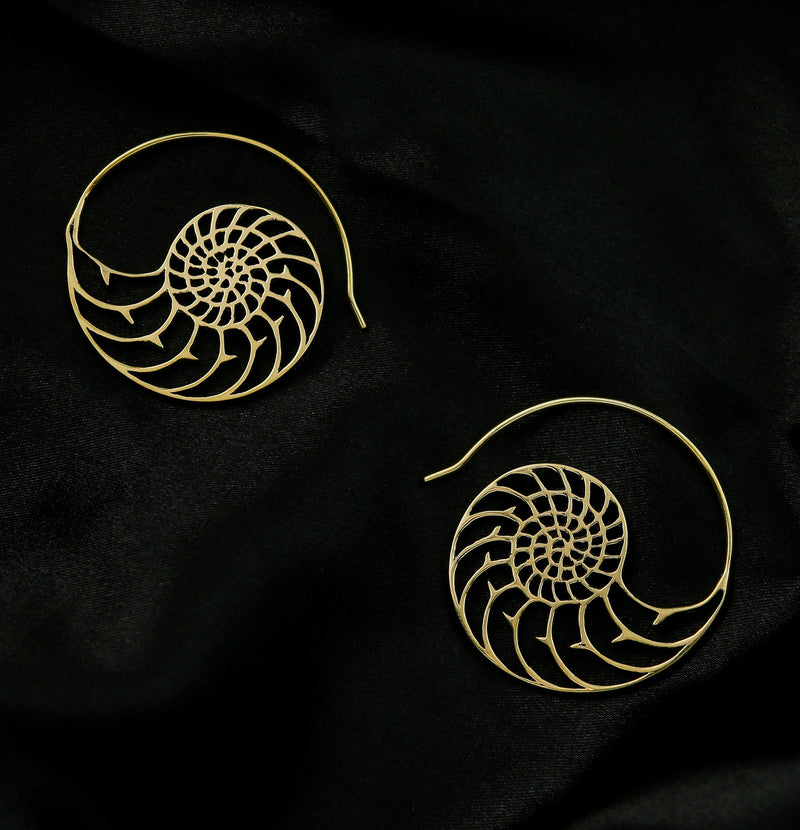 Ammonite Brass Hangers