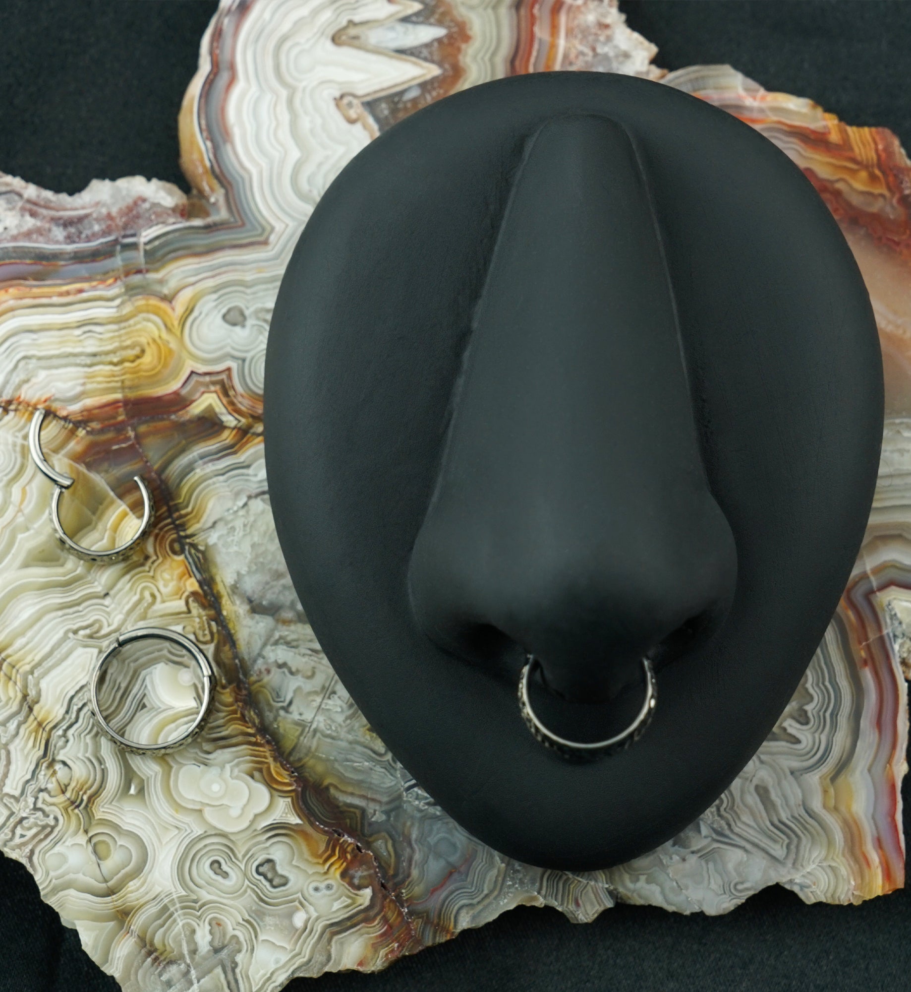 Anthozoan Titanium Hinged Segment Ring