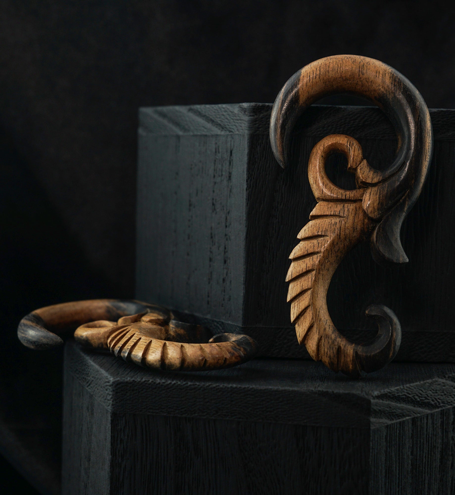 Areng Wood Seahorse Hanger Plugs