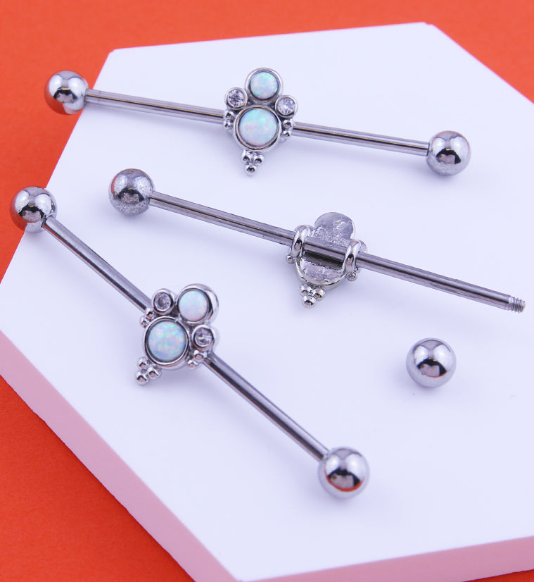 Spiral Surgical Steel Industrial Barbell Body Jewelry