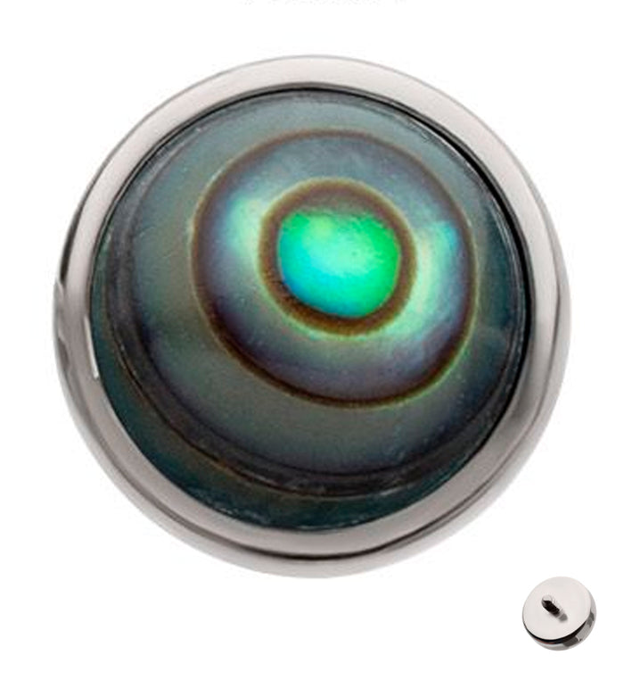 Bezel Abalone Shell Titanium Internally Threaded Top