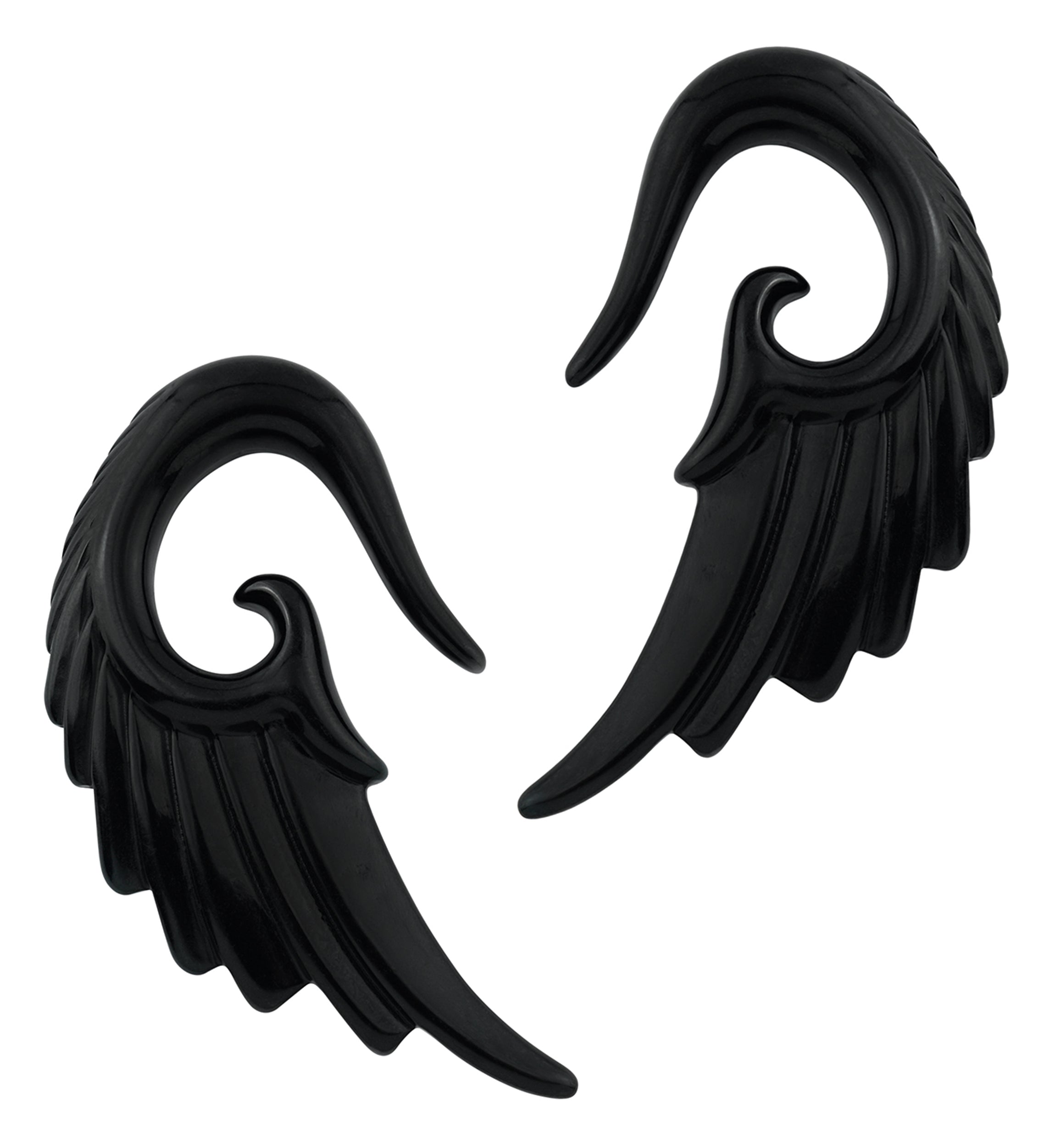 Black Angel Wing Spiral Plugs