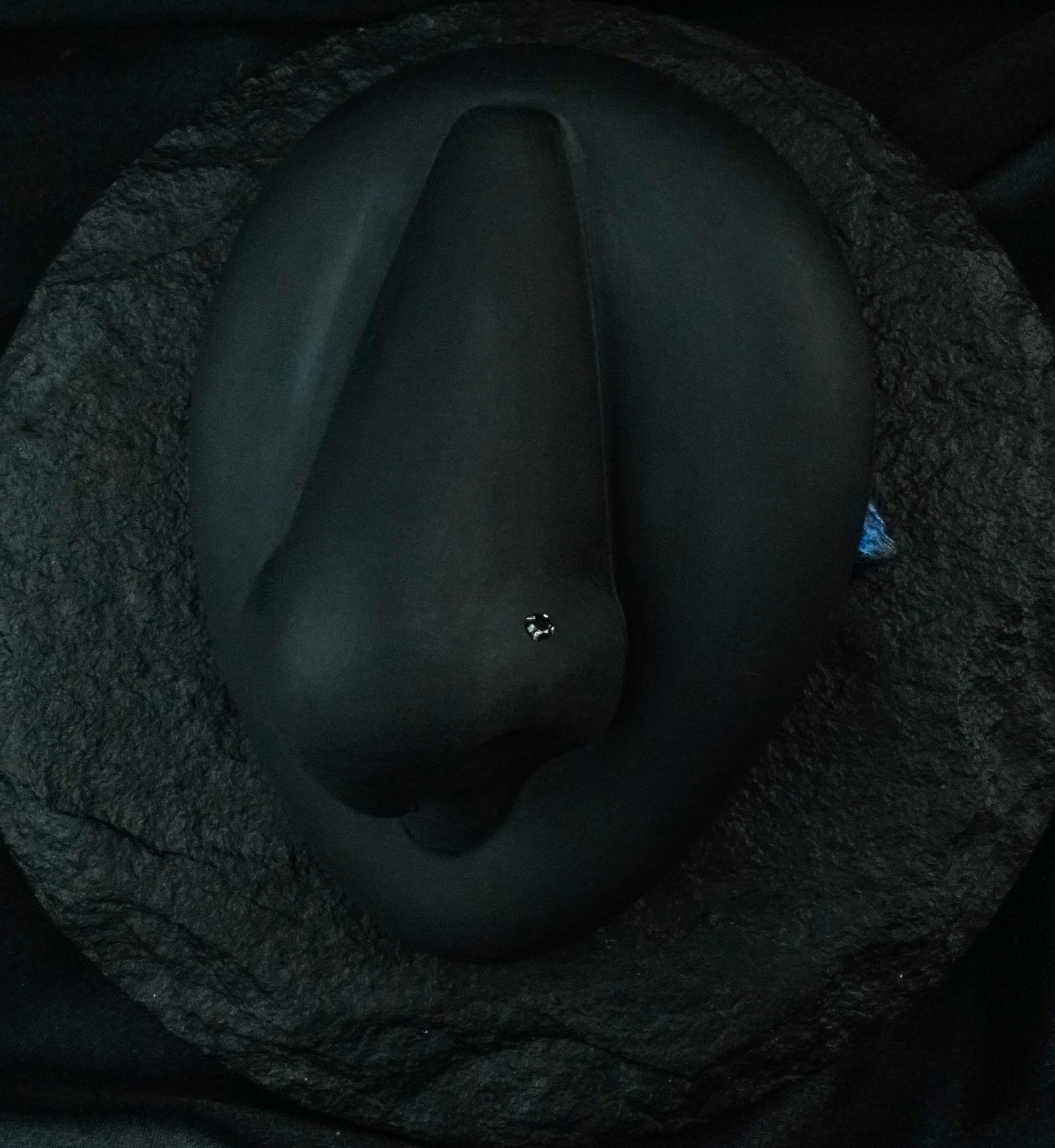 Black CZ Titanium Nose Screw