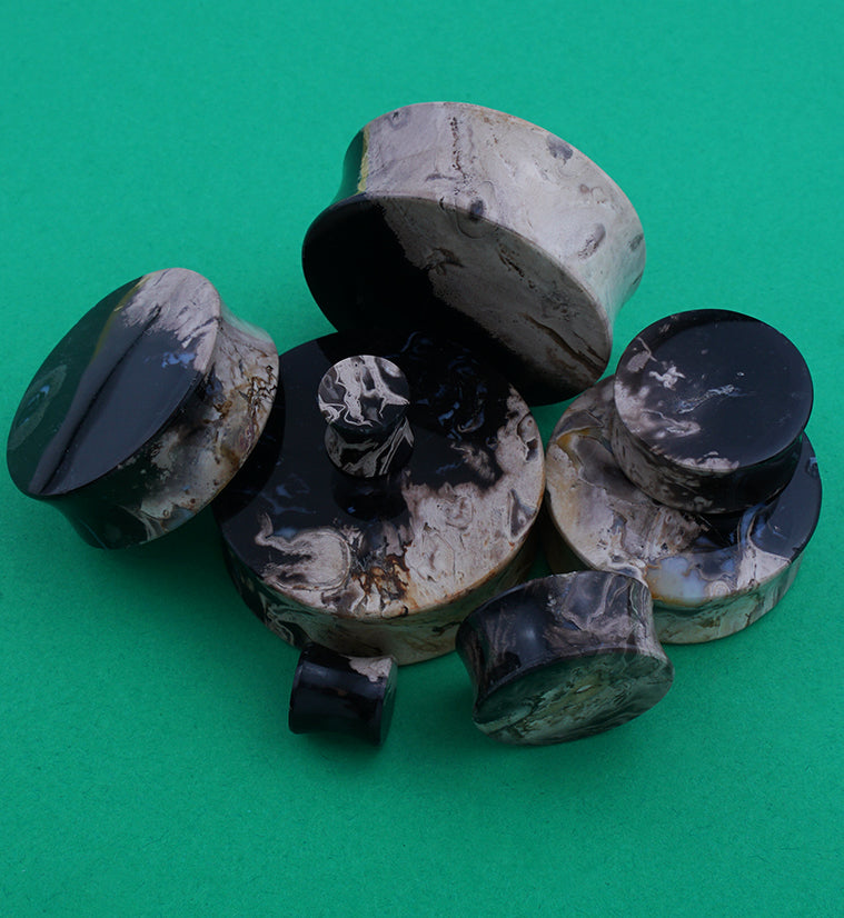 Black Flame Petrified Palm Root Plugs