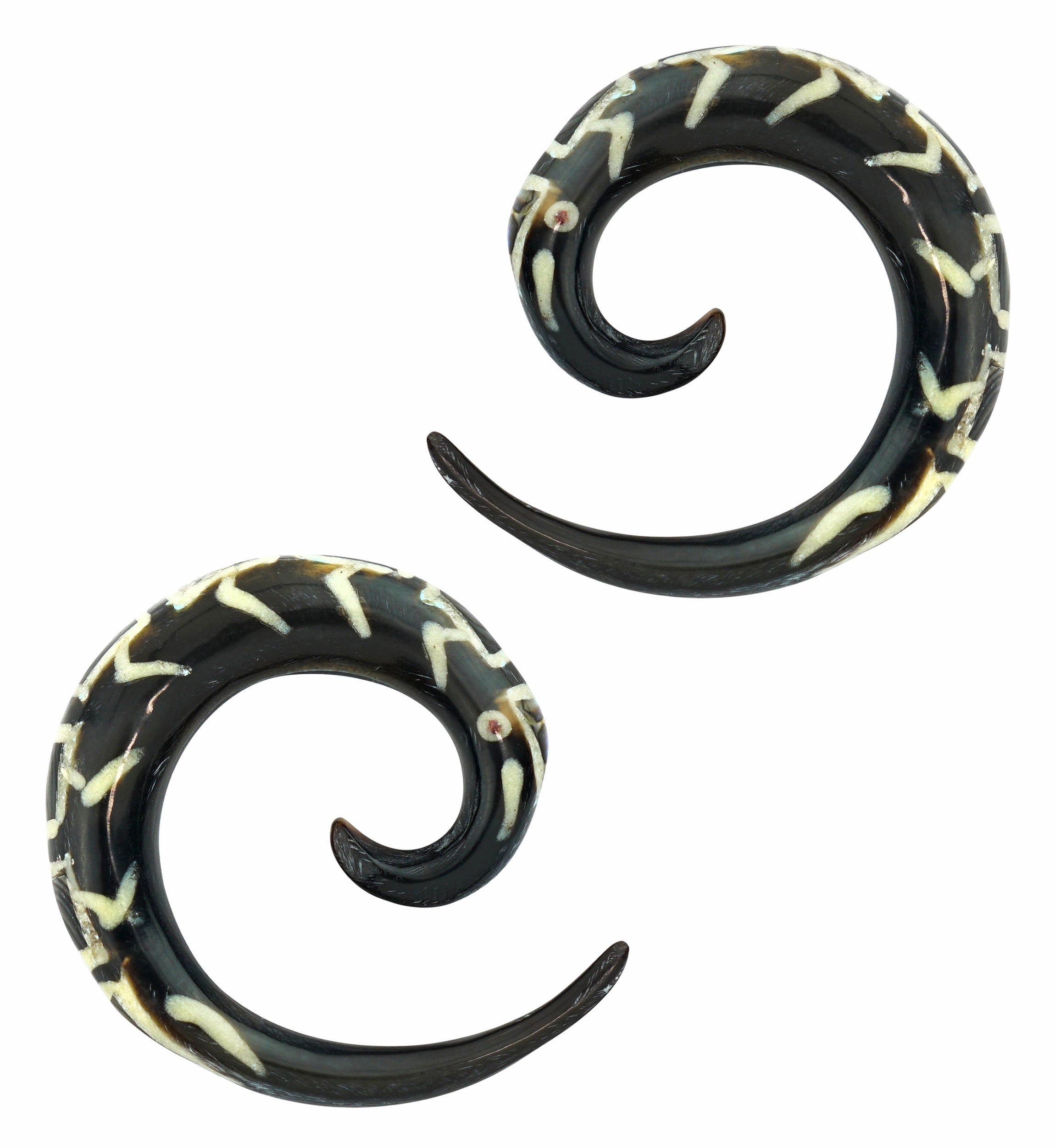 Black Horn Spirals Abalone Inlay