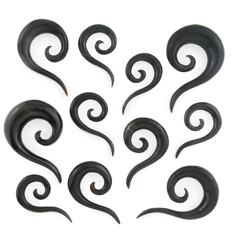 Black Horn Tail Semi-Spirals