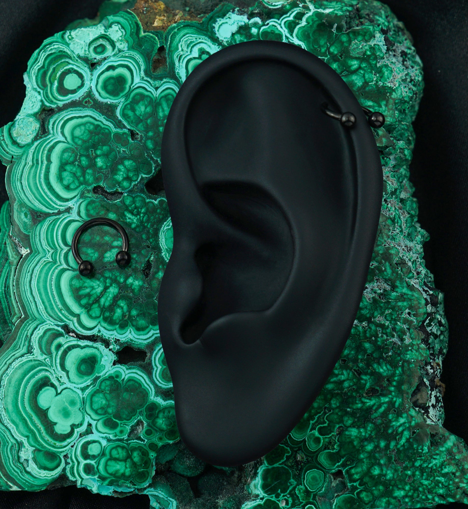 Black PVD Basic Titanium Circular Barbell