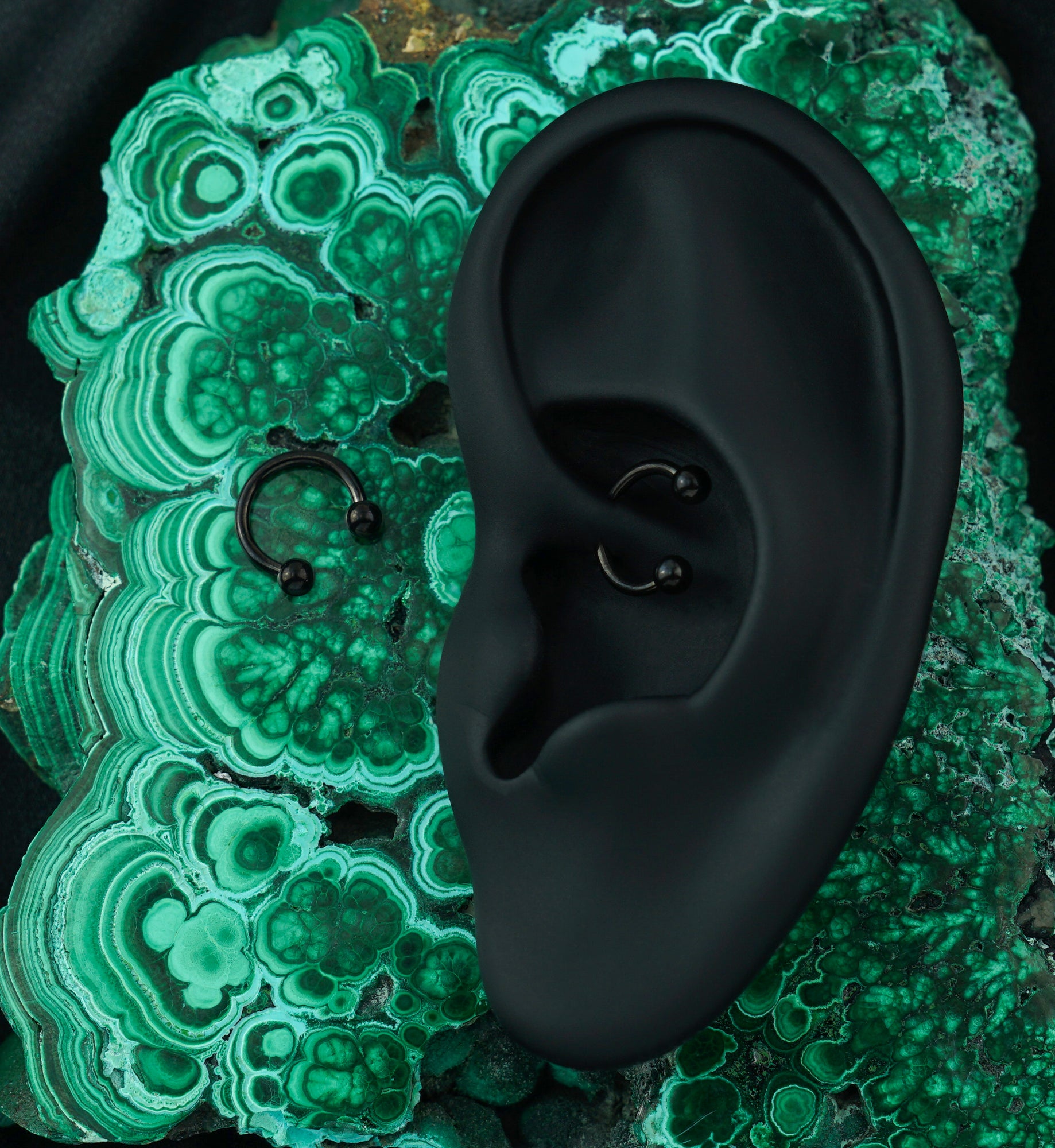 Black PVD Basic Titanium Circular Barbell