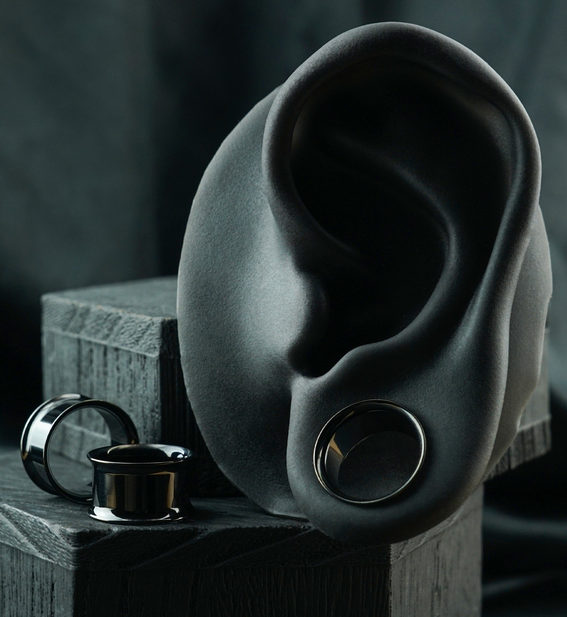 Black PVD Double Flare Titanium Ear Tunnels