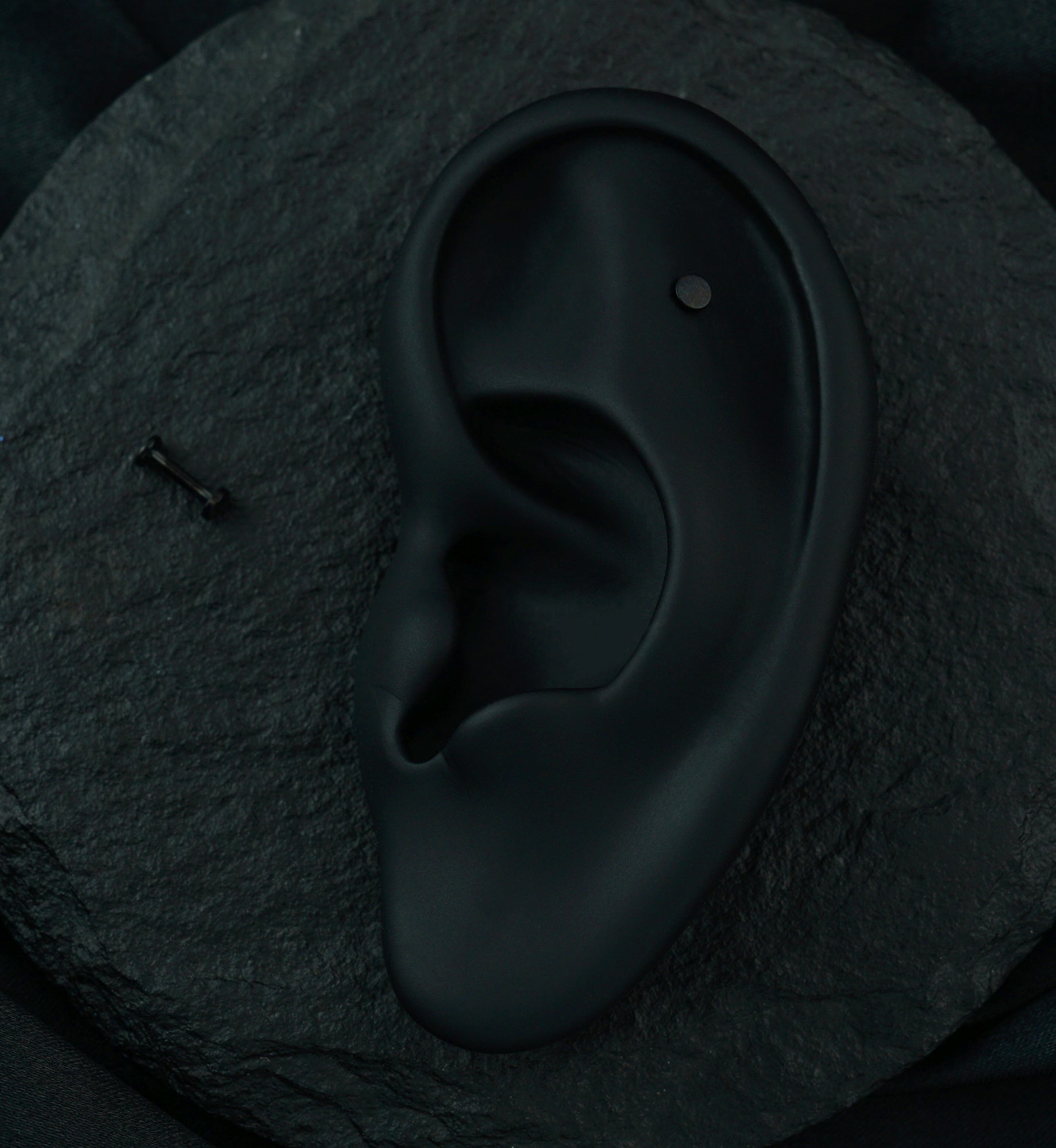 Black PVD Flat Disk Internally Threaded Titanium Labret