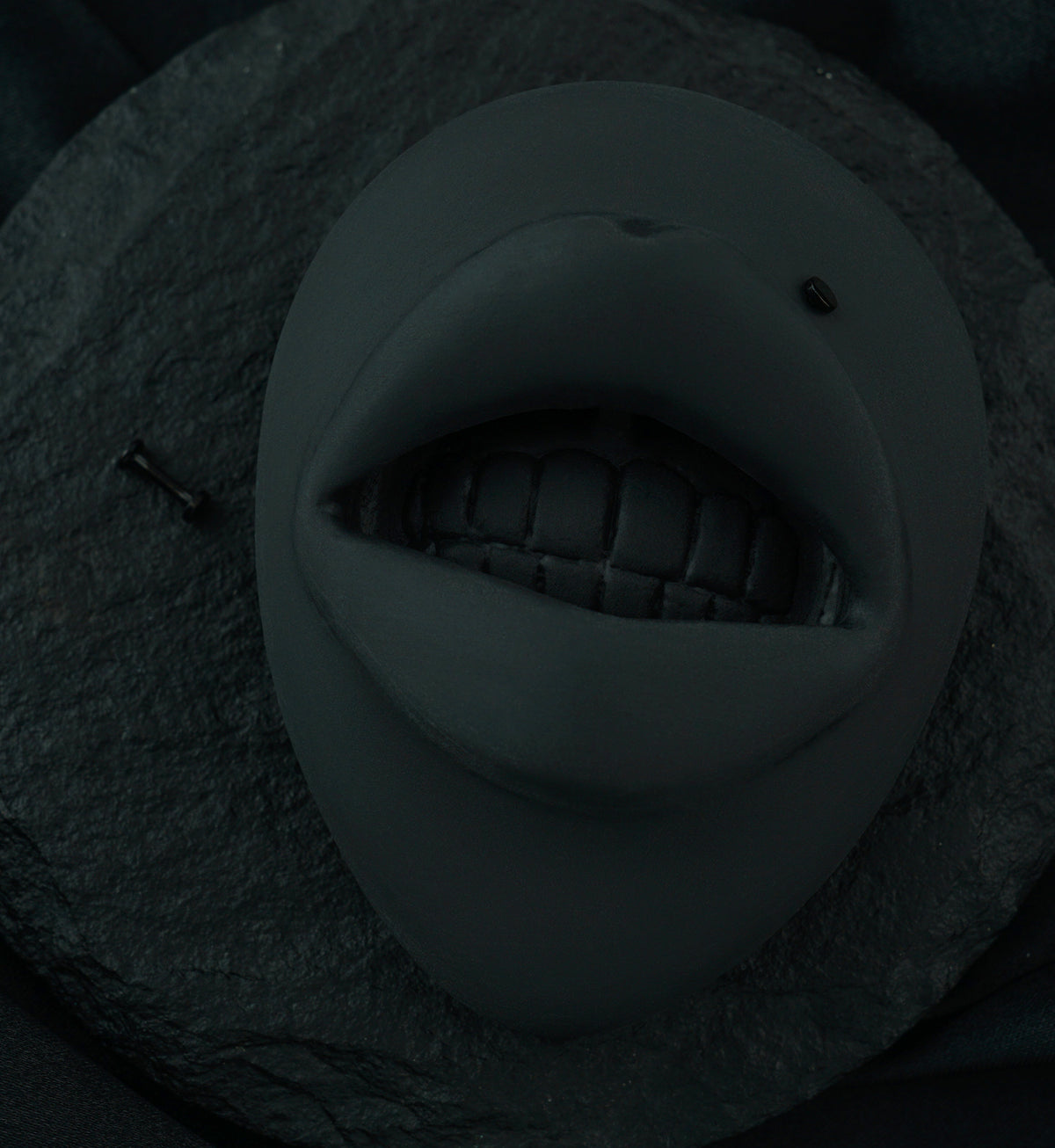 Black PVD Flat Disk Internally Threaded Titanium Labret