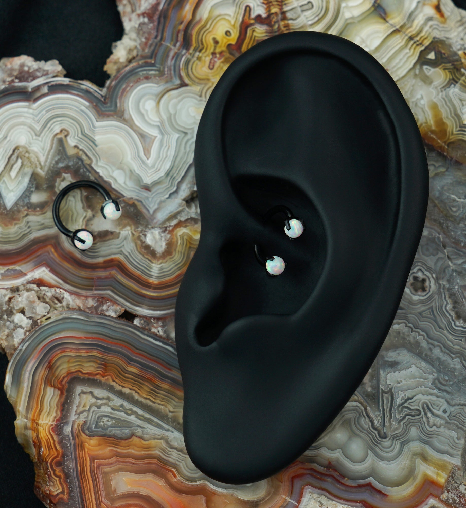 Black PVD Opalite Claw Stainless Steel Circular Barbell