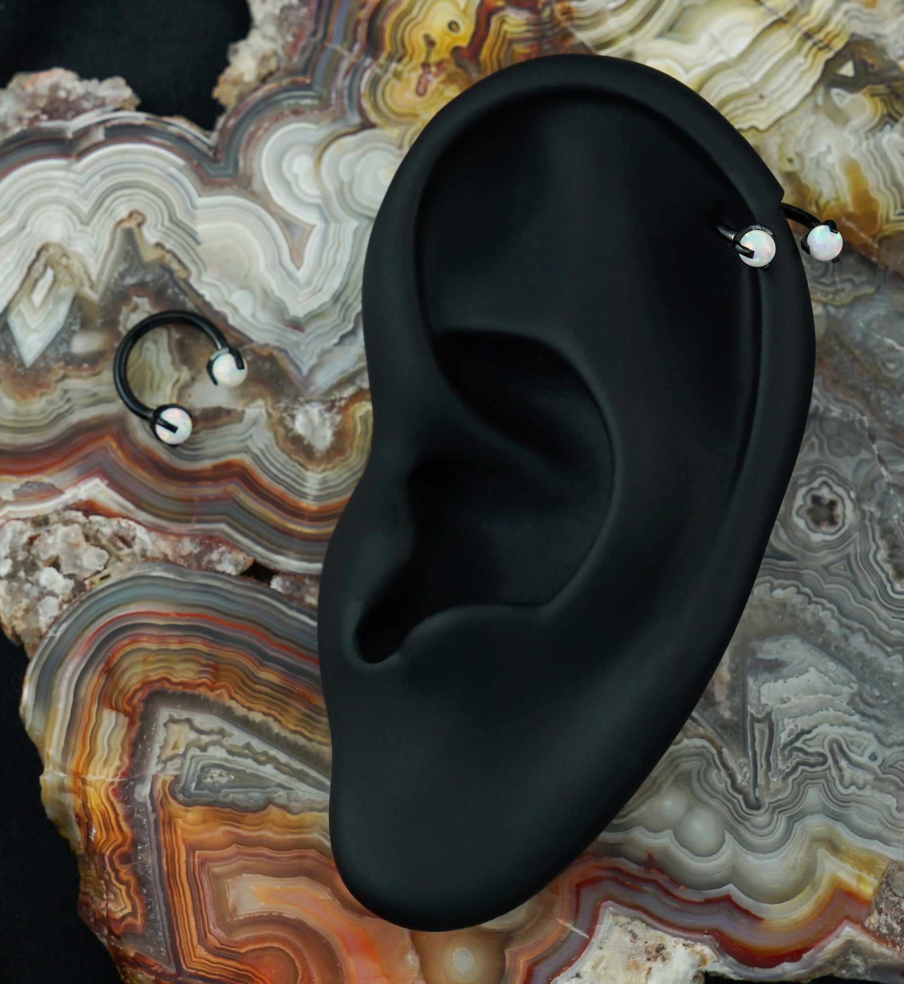 Black PVD Opalite Claw Stainless Steel Circular Barbell