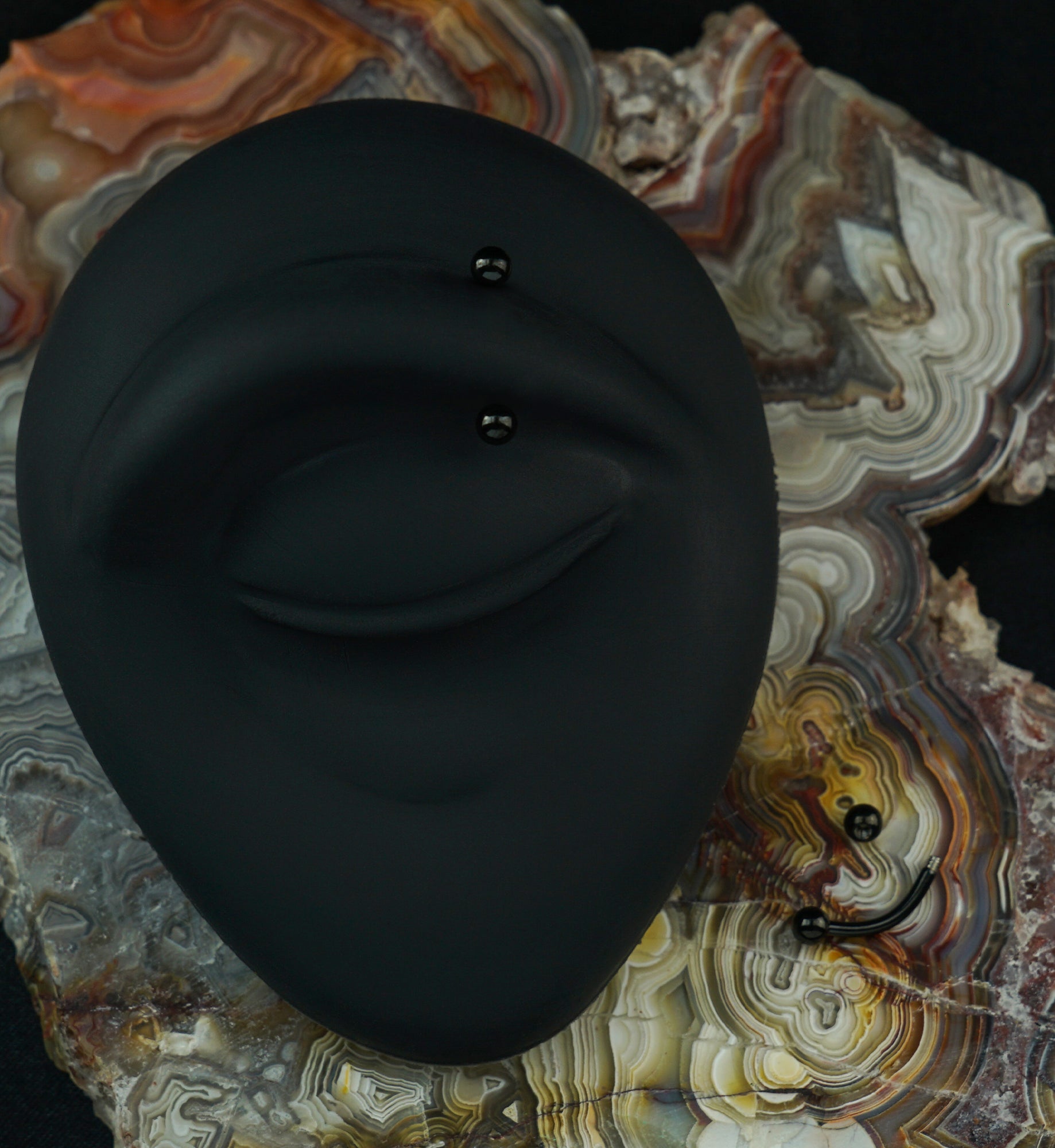 Black PVD Plated Curved Barbell