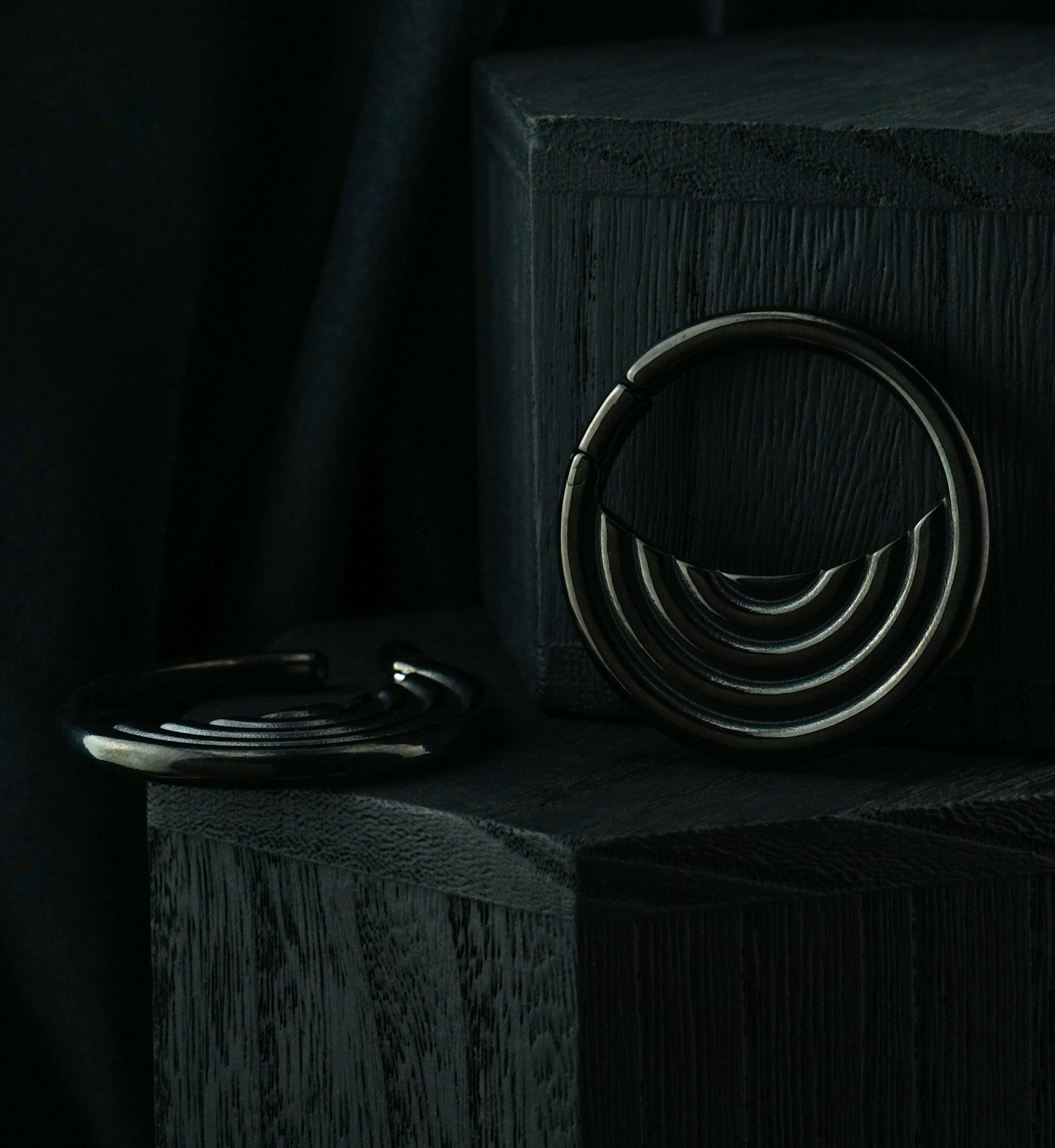 Black PVD Radial Stainless Steel Hinged Ear Weights