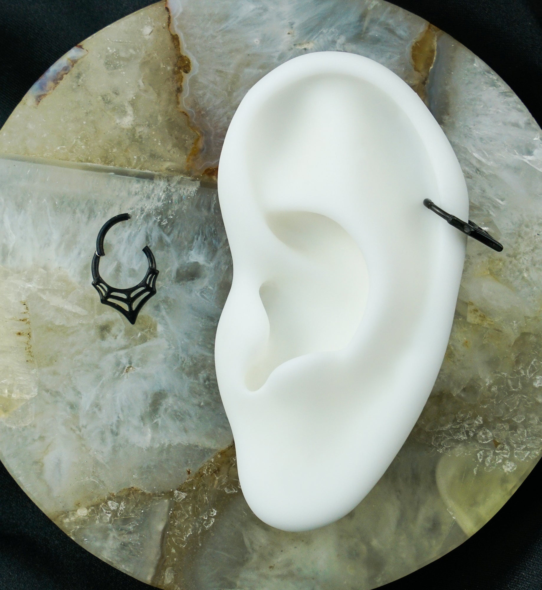 Black PVD Spiderweb Point Stainless Steel Hinged Segment Ring