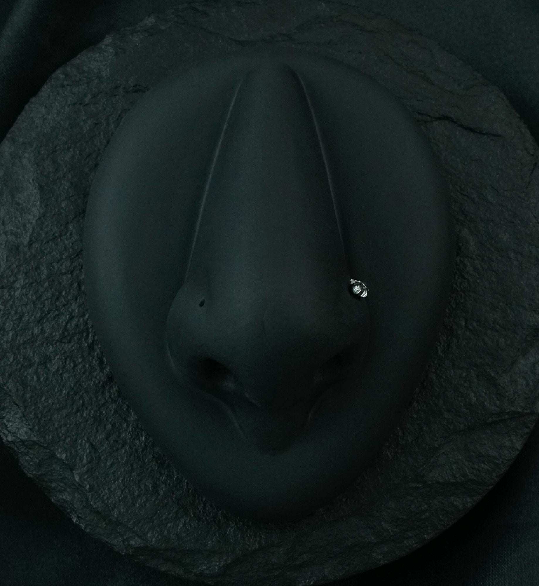 Black PVD Star CZ Prong L Bend Nose Ring