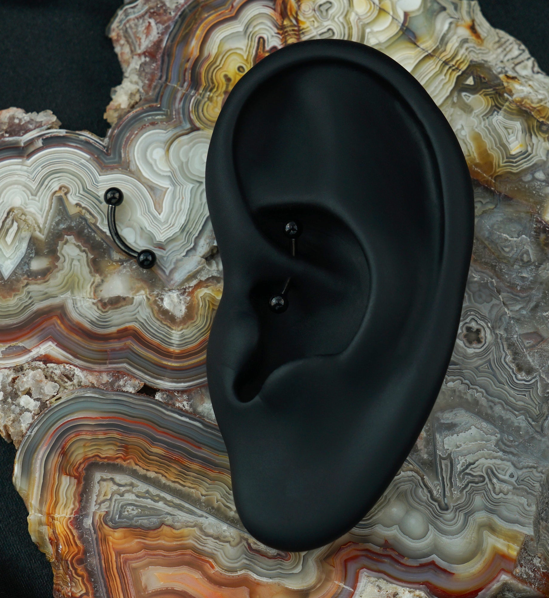 Black PVD Titanium Curved Barbell