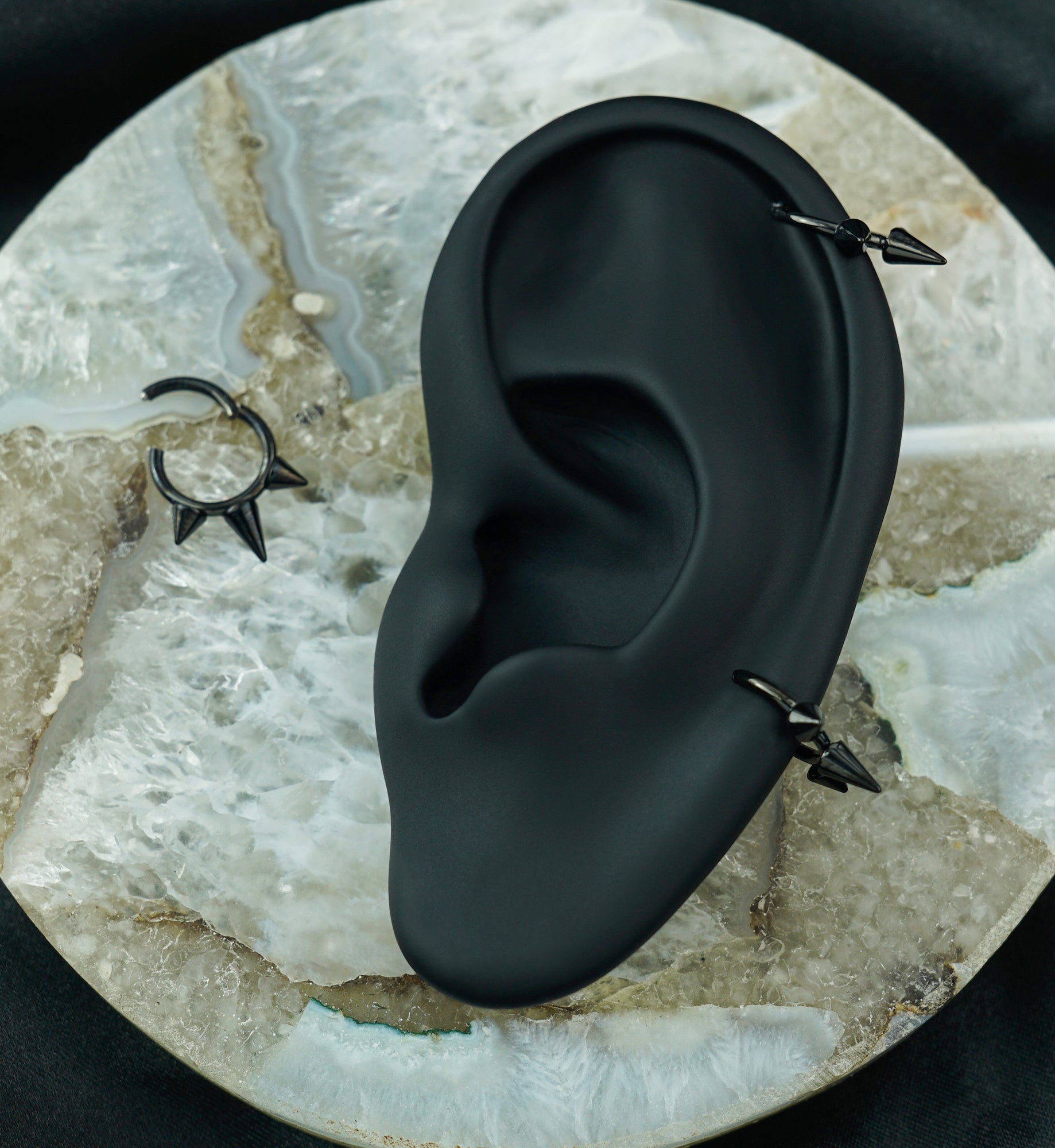 Black PVD Titanium Hinged Spiked Segment Ring