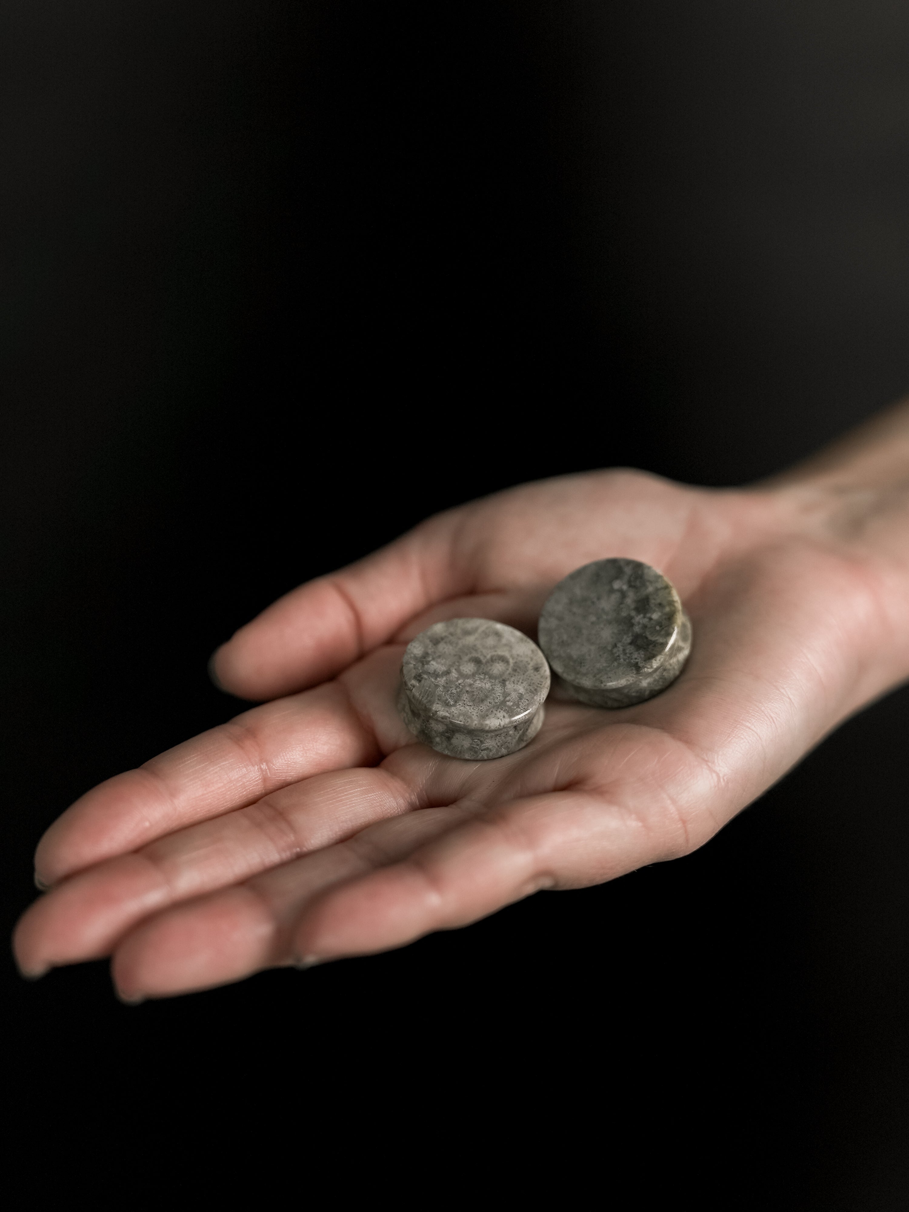 Blue Fossilized Coral Stone Plugs