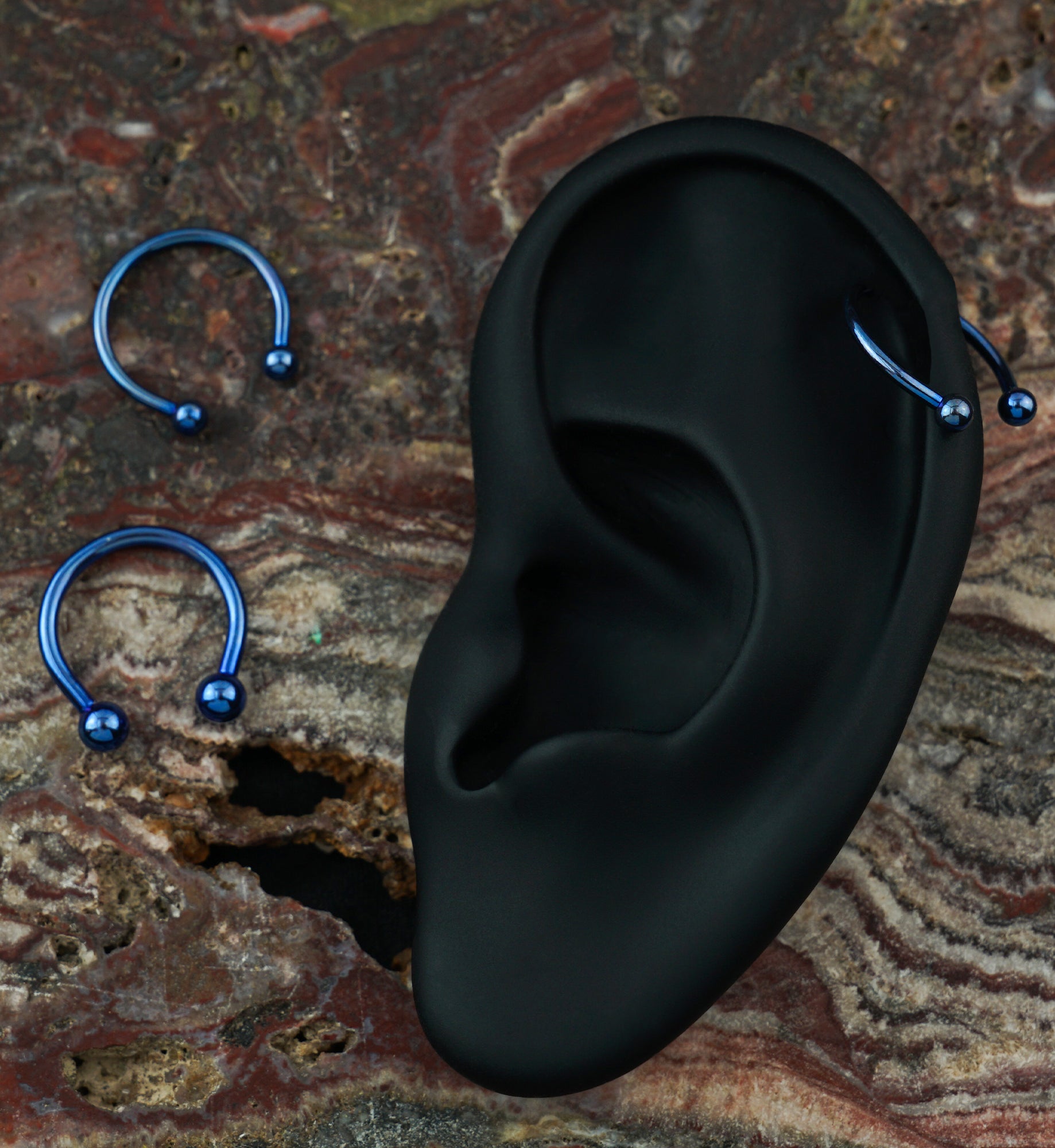 Blue Titanium Circular Barbells