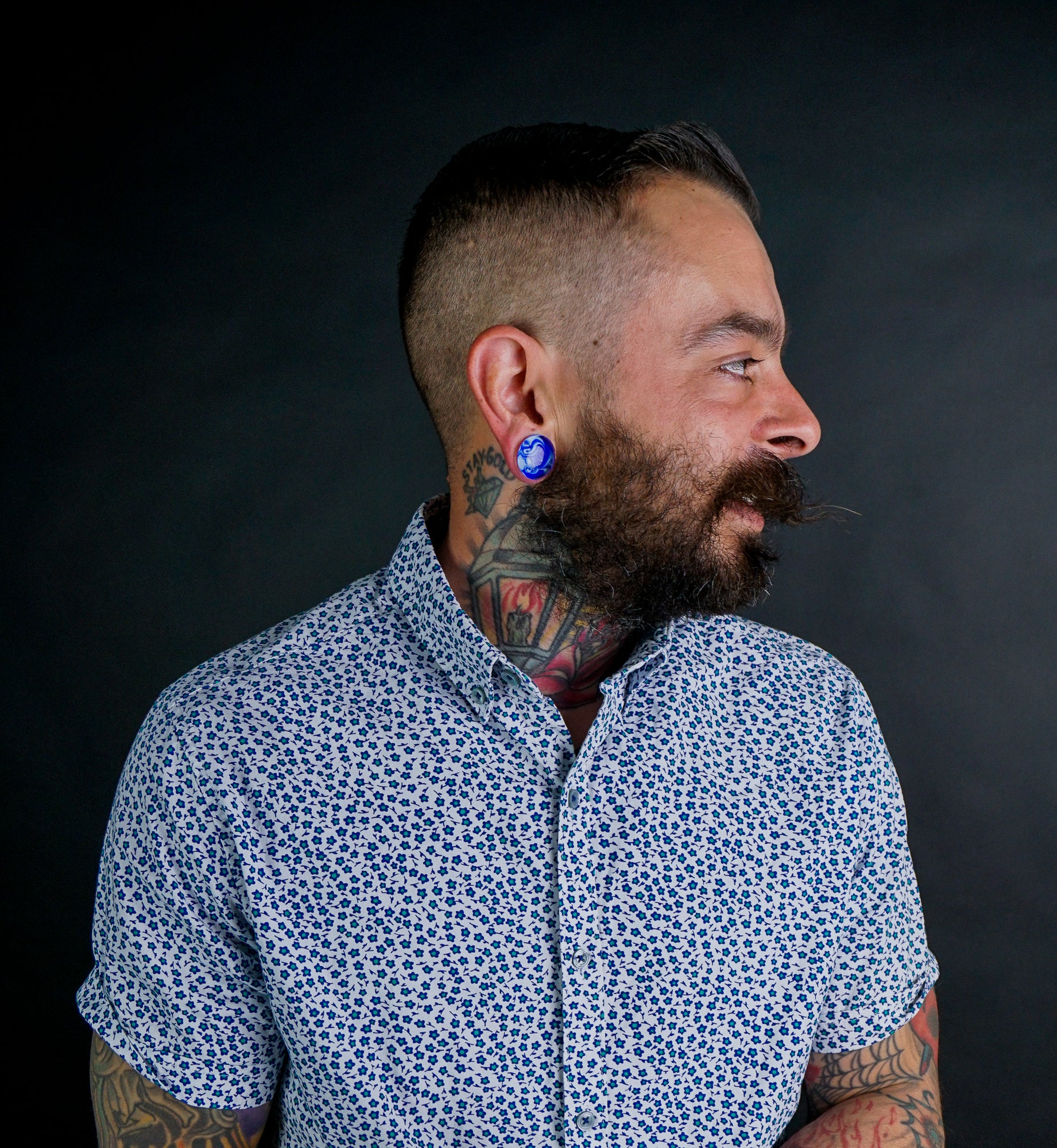 Blue/White Chroma Swirl Glass Double Flare Plugs