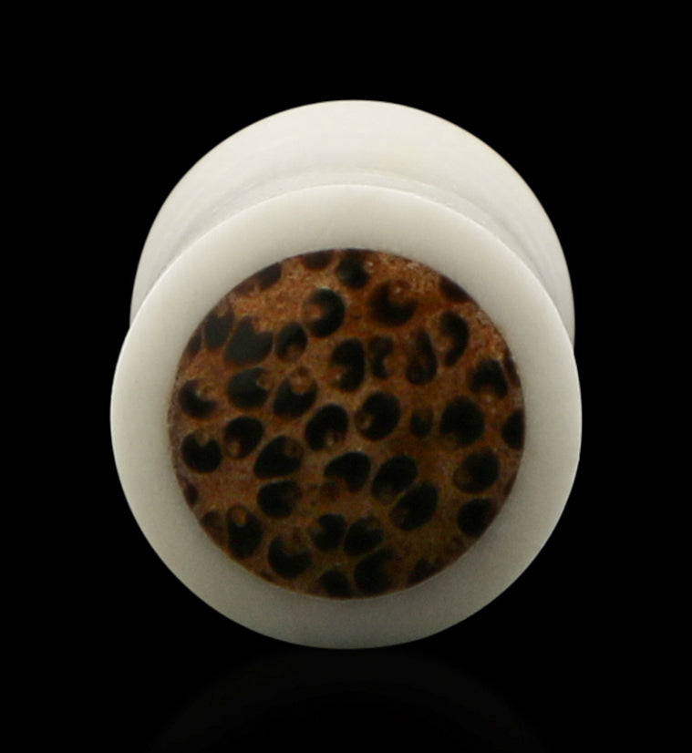 Bone Plugs with Coconut Wood Inlay