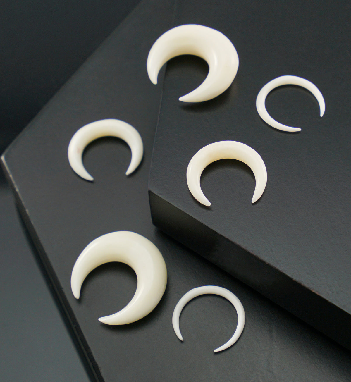 Bone Septum Pinchers (8G - 1/2