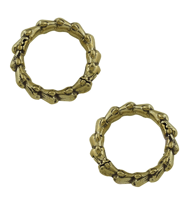 Brass Circle Of Scales Hinged Ear Weights
