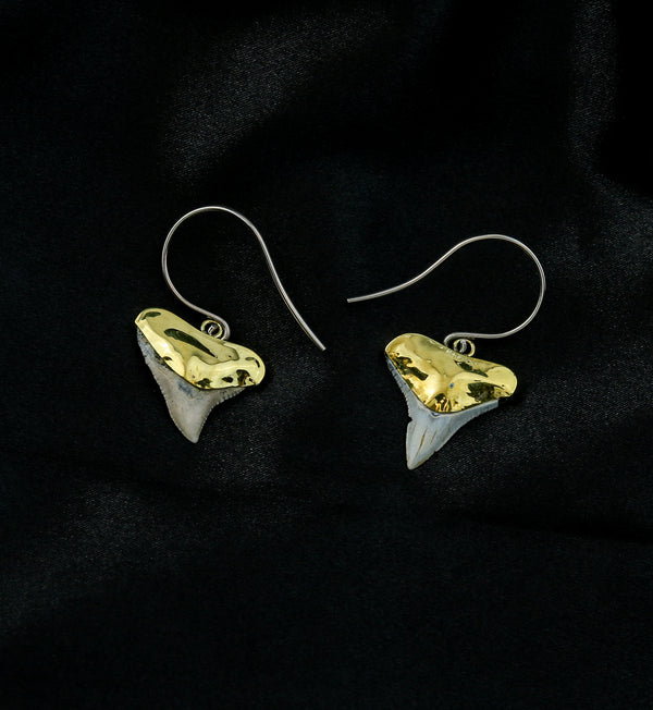 Brass Fossilized Shark Tooth Dangle Earrings
