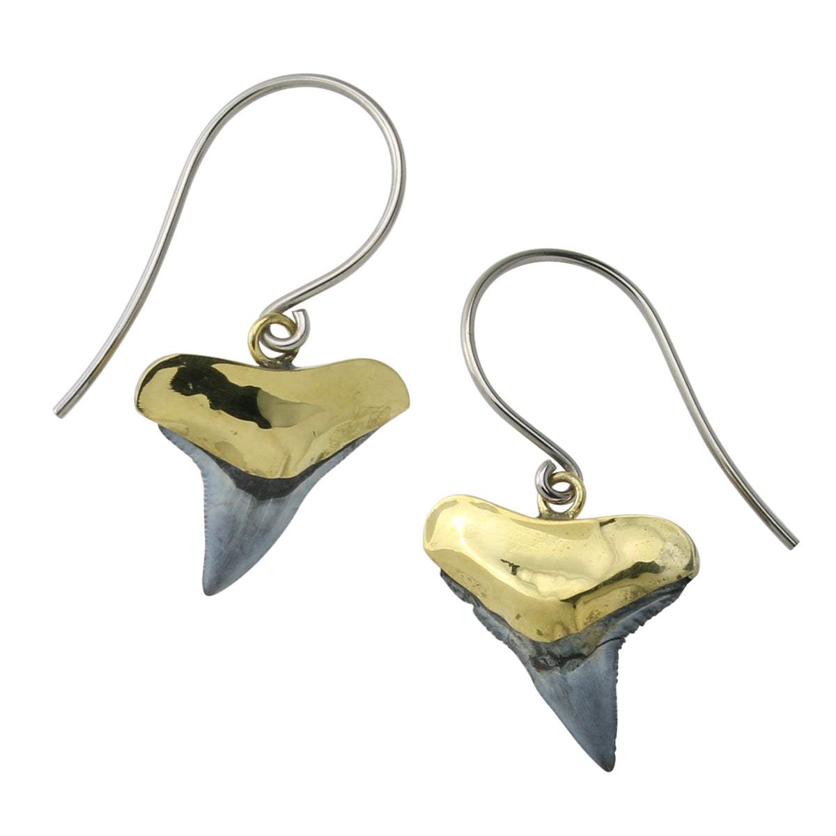 Brass Fossilized Shark Tooth Dangle Earrings