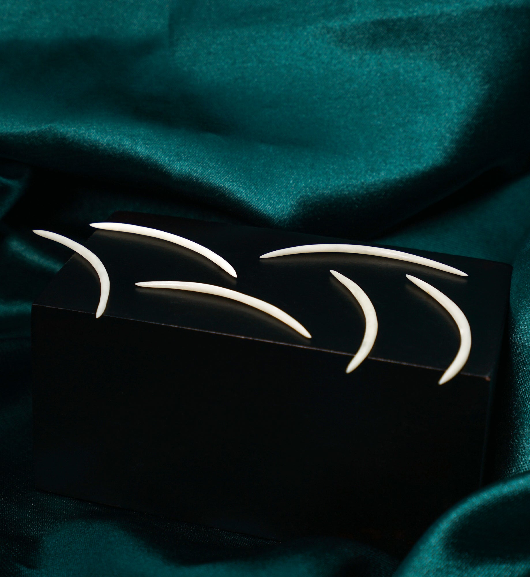 Buffalo Bone Septum Tusk