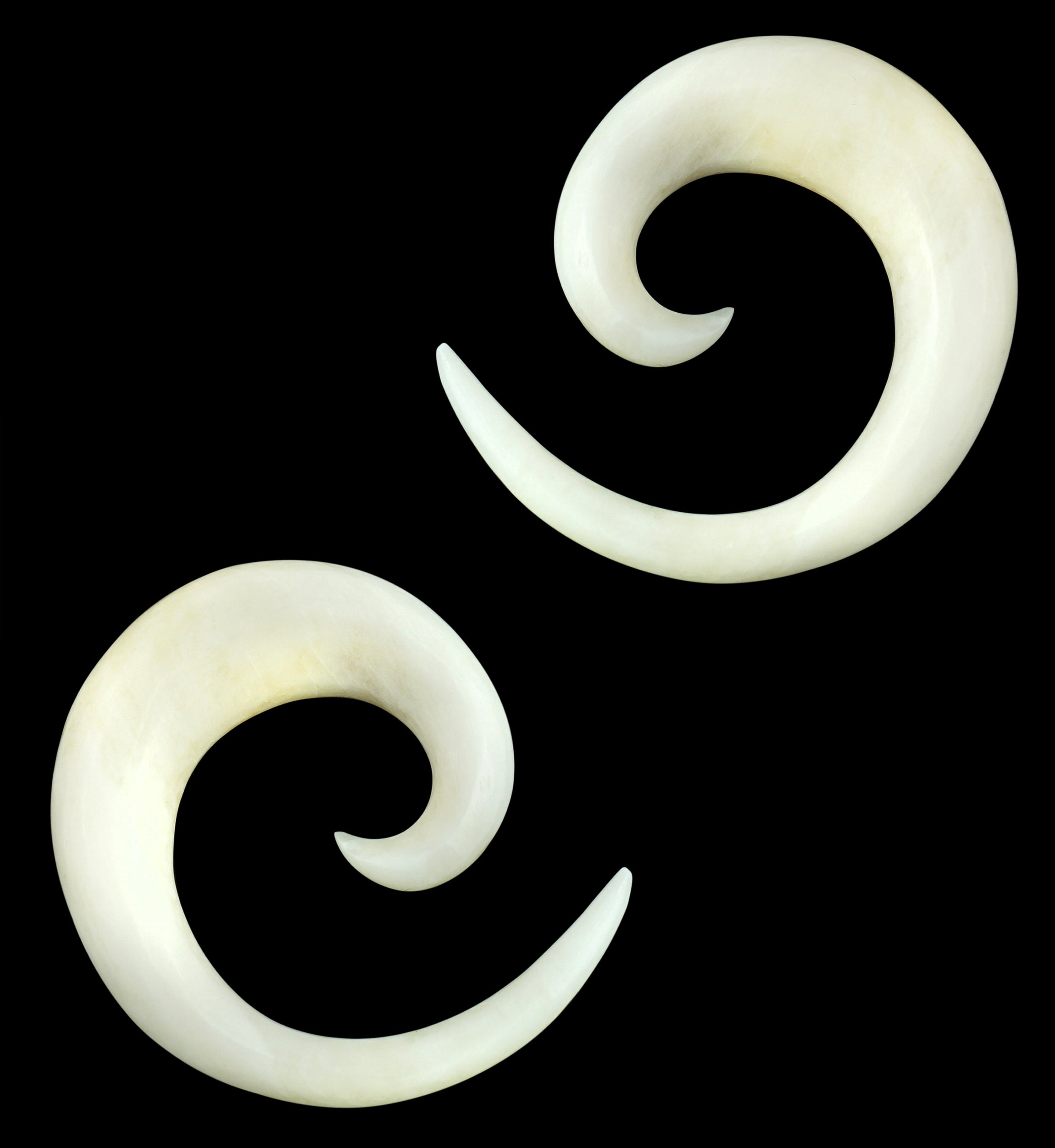 Buffalo Bone Spirals