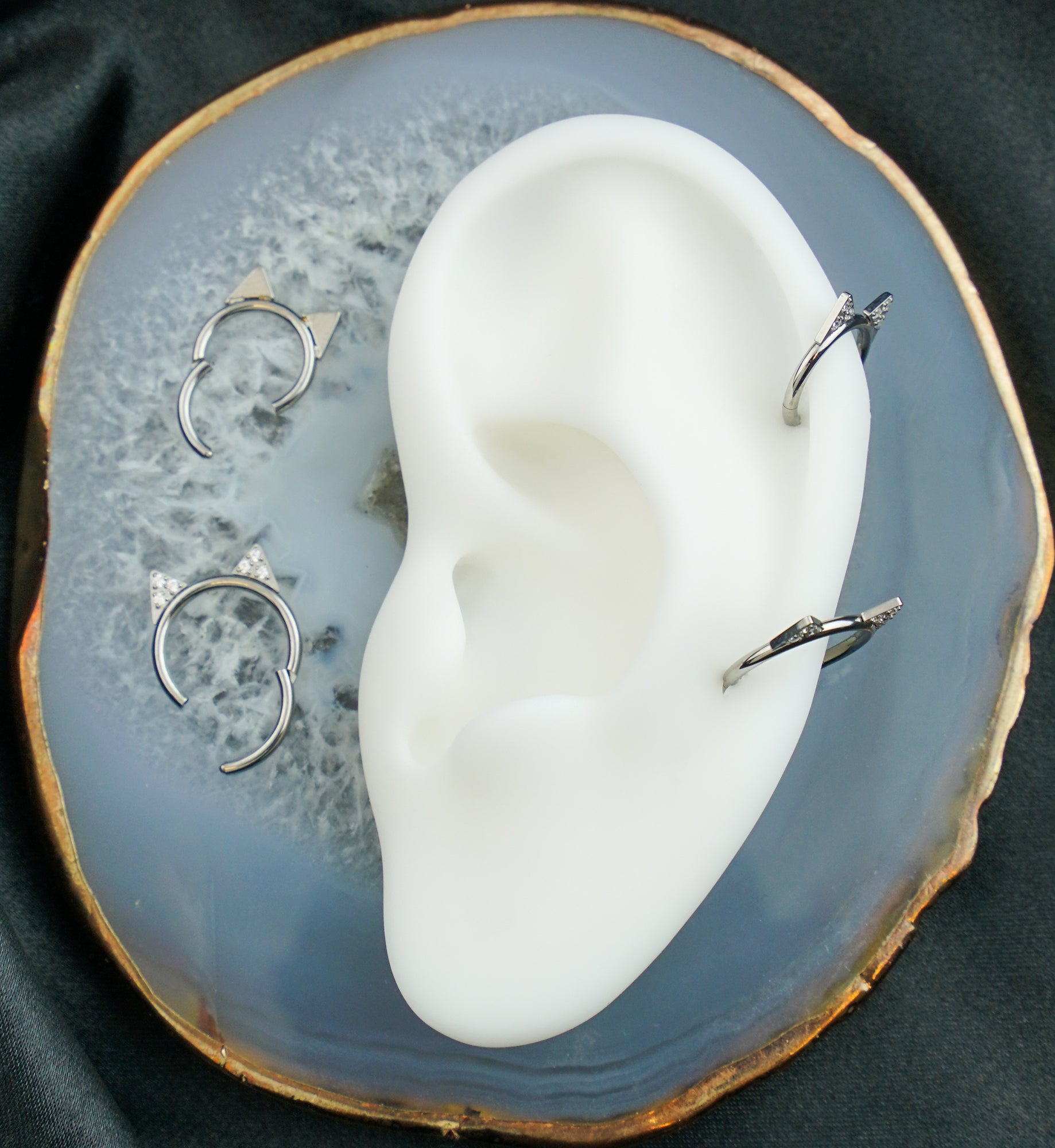 Cat Ears Clear CZ Titanium Hinged Segment Ring