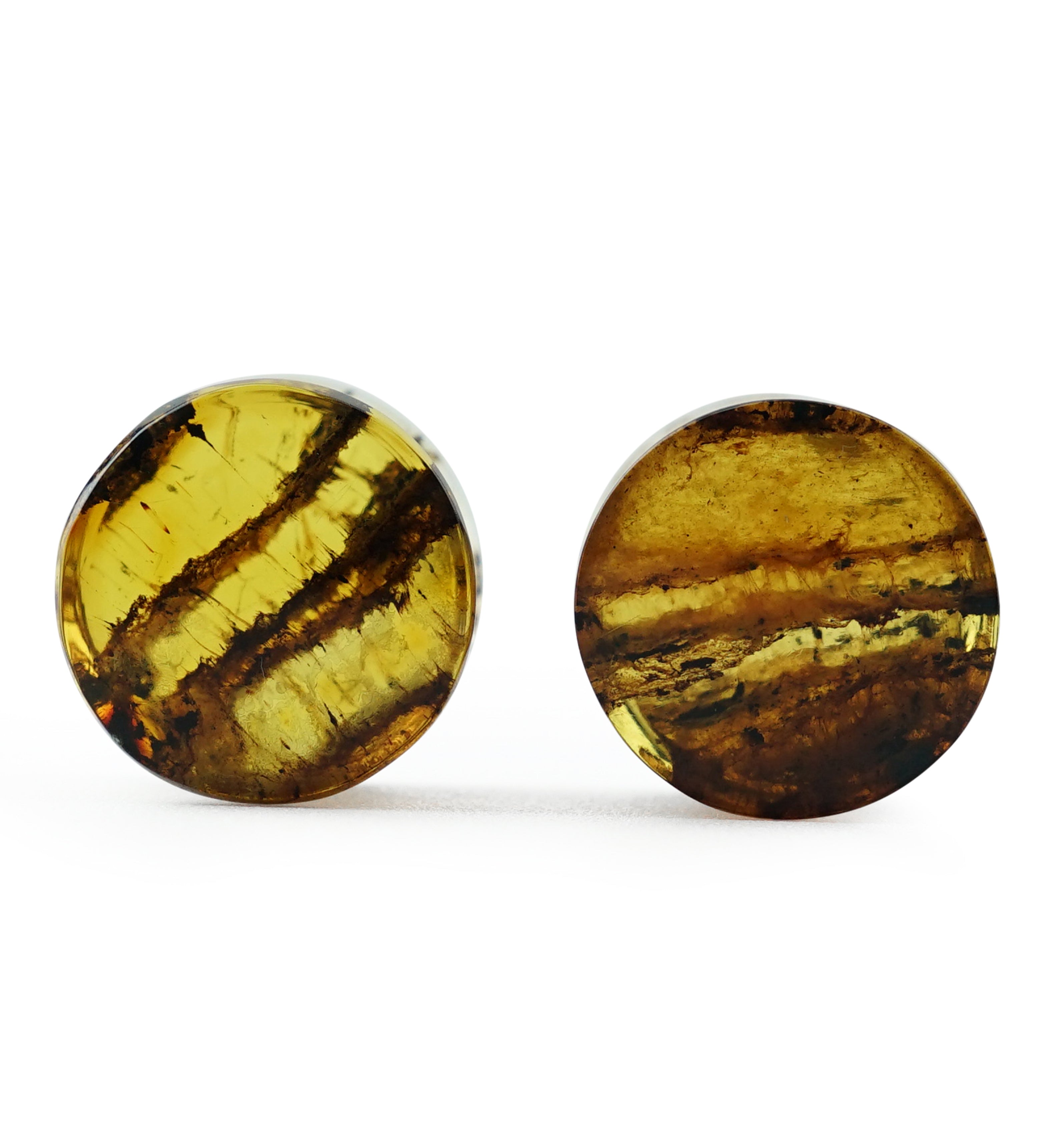 Chiapas Amber Plugs 00G (10mm) - Version 6