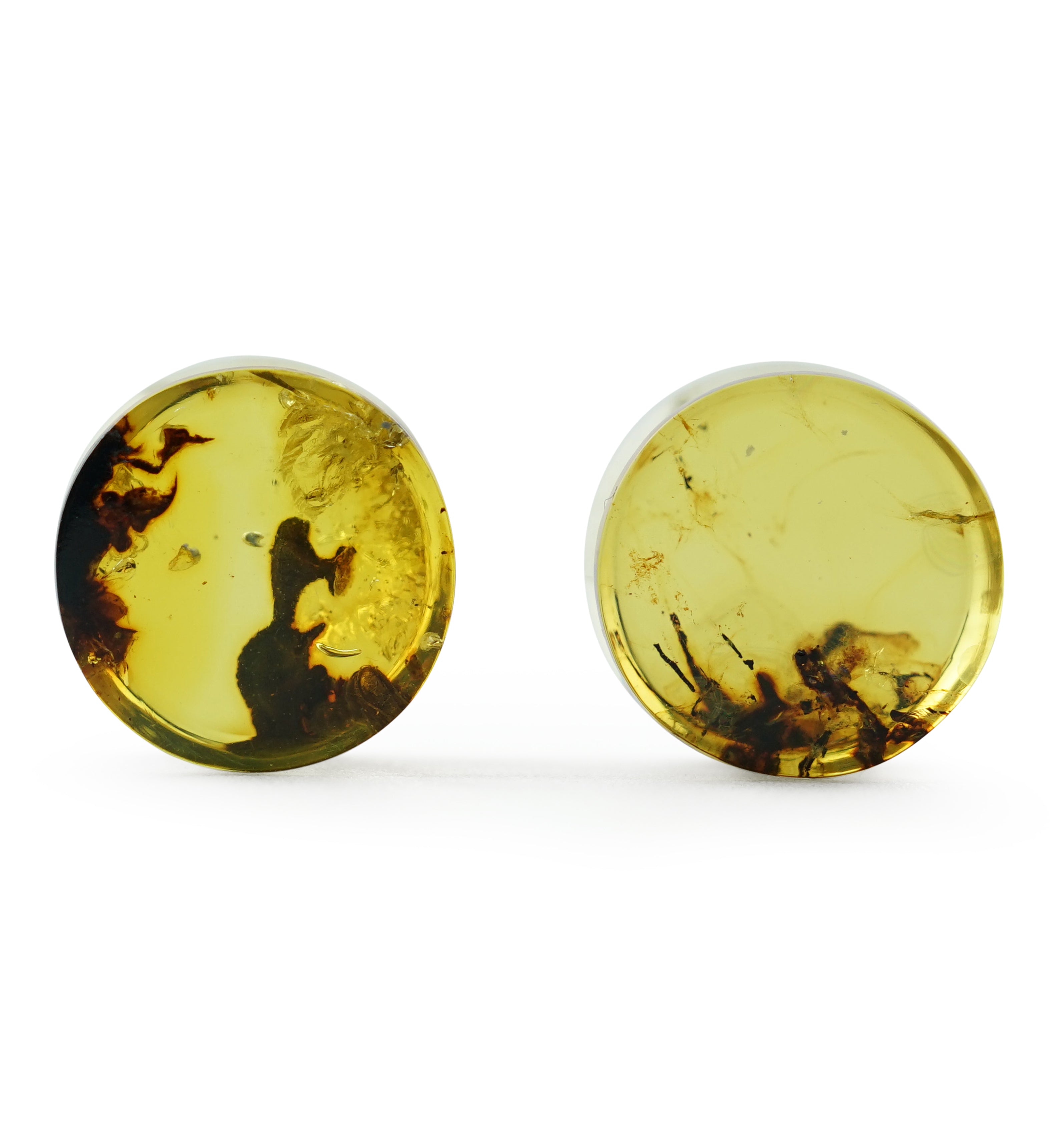 Chiapas Amber Plugs 00G (10mm) - Version 11