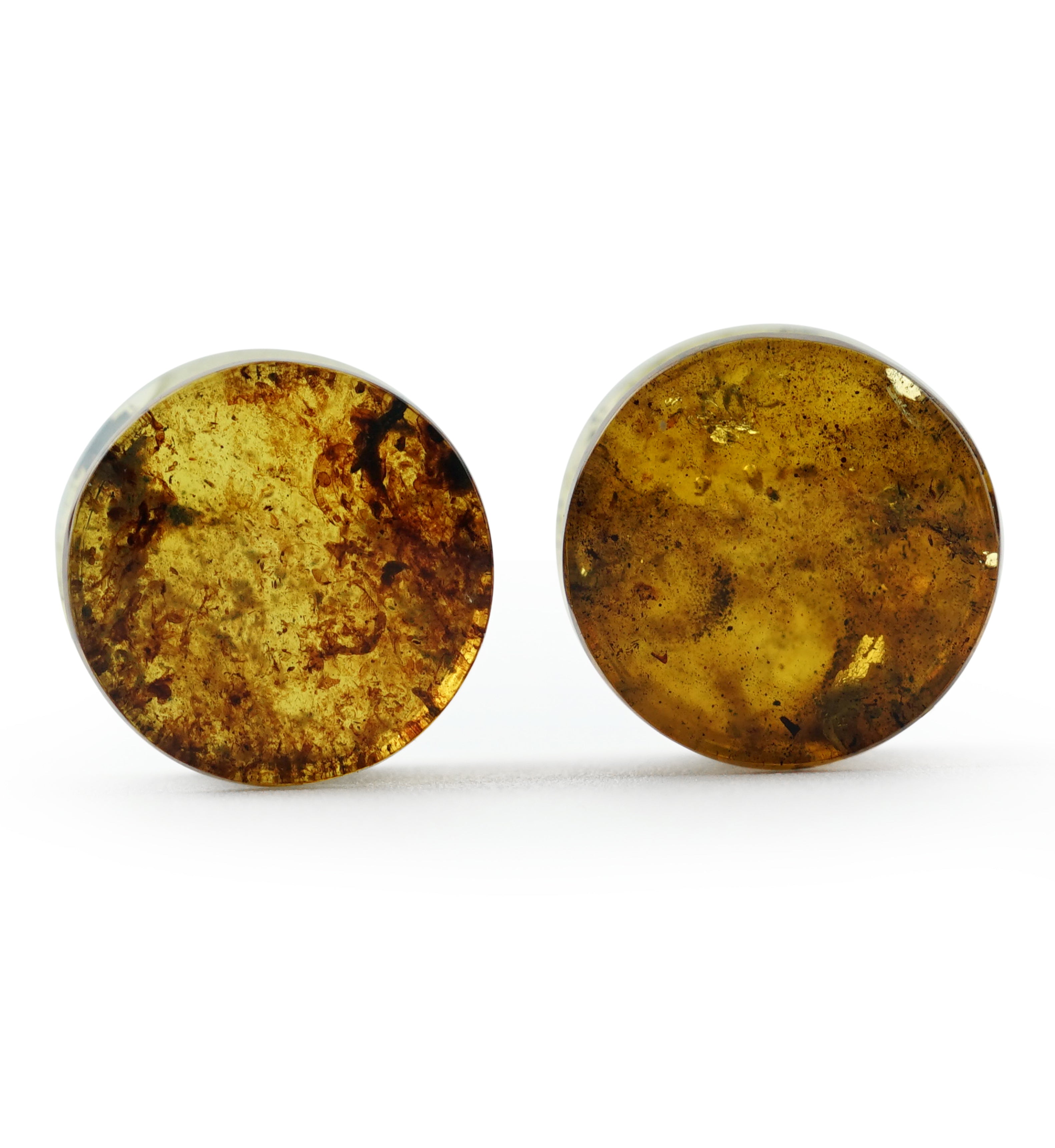 Chiapas Amber Plugs 7/16" (11mm) Version 5