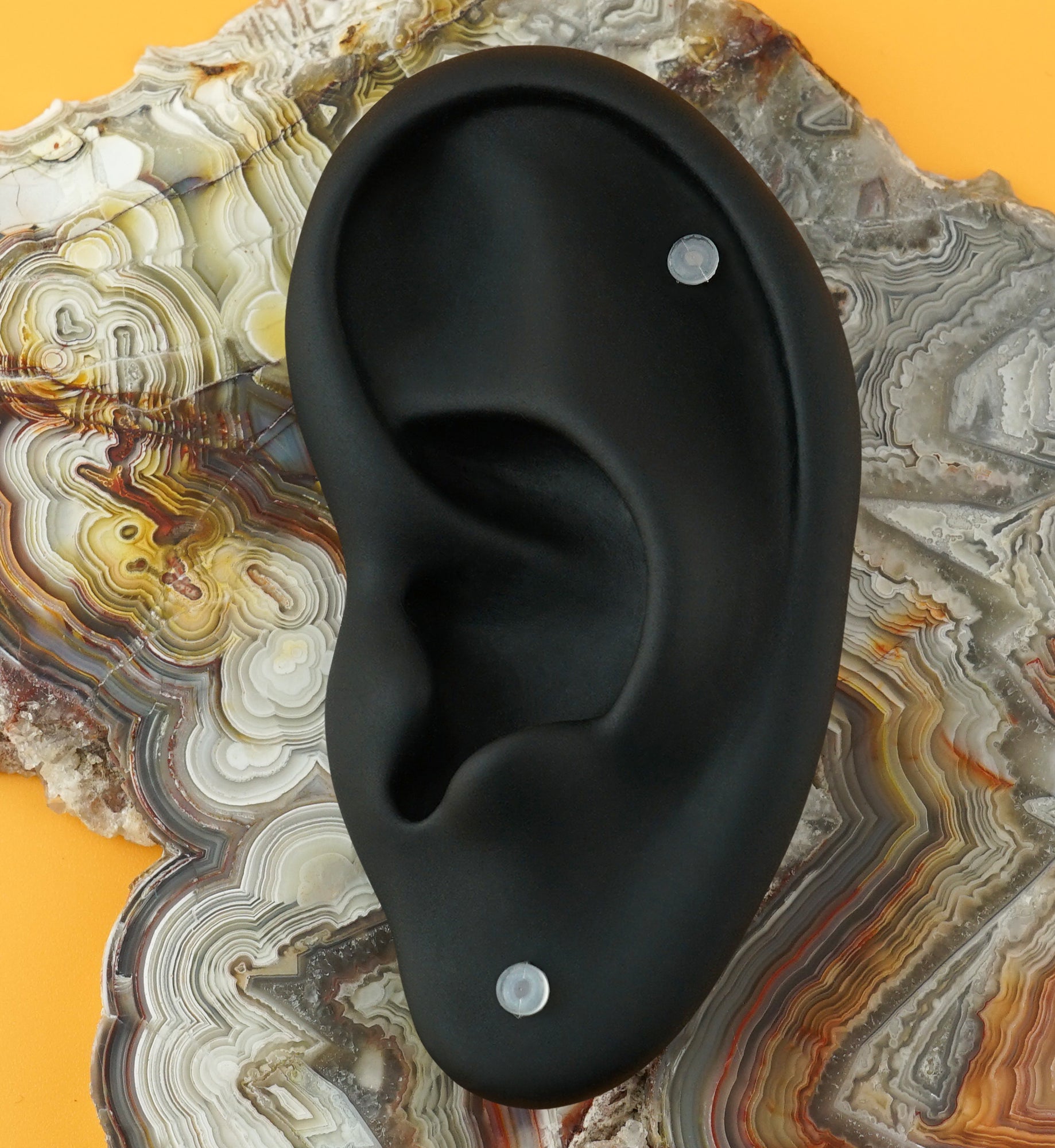 Clear Labret - Flatback Retainer