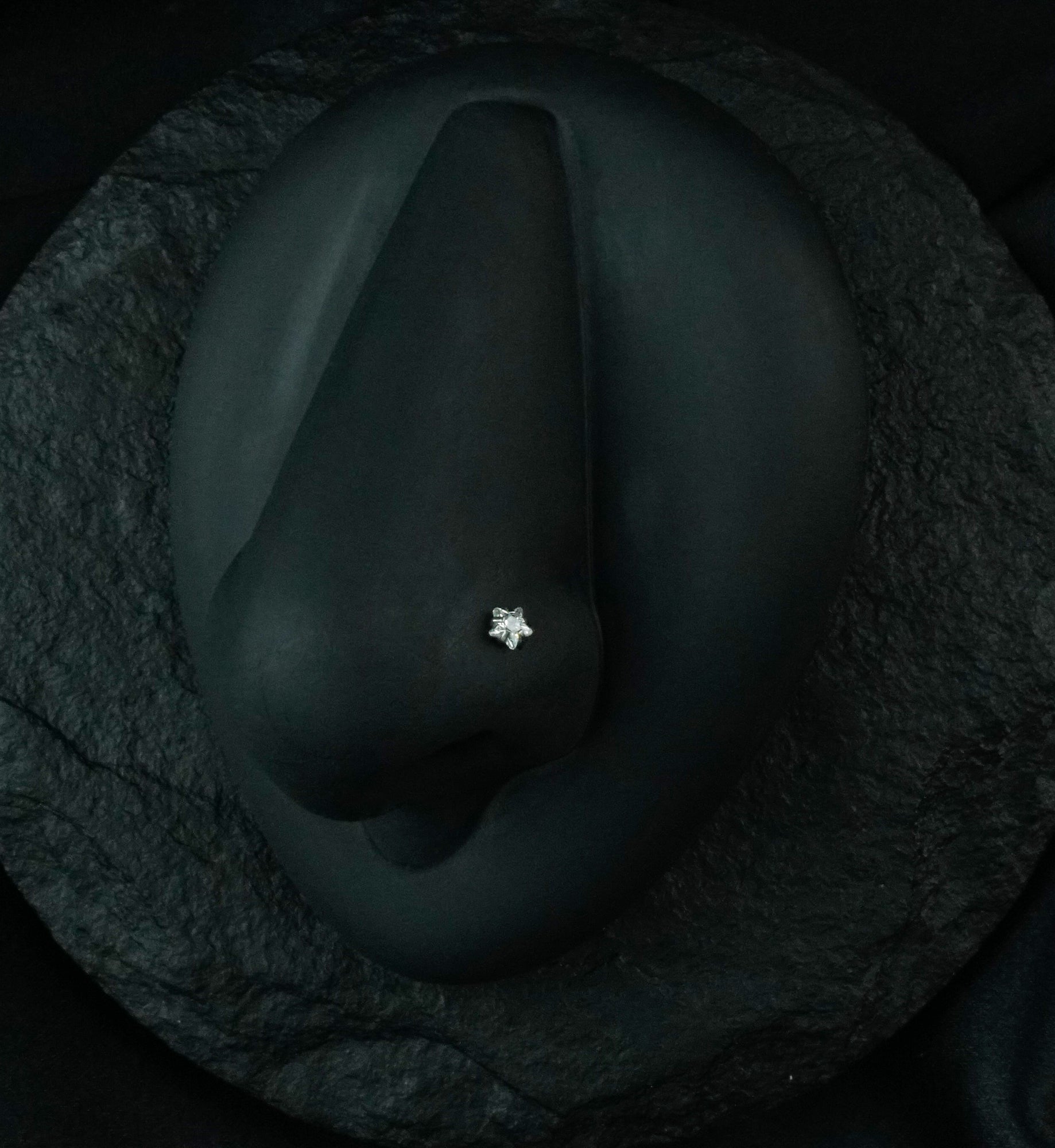 Clear Star CZ Stainless Steel Nose Screw