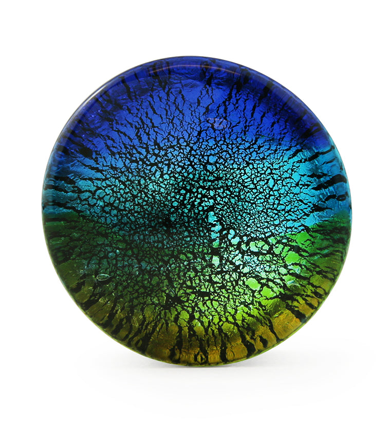 Coastal Dichroic Glass Plugs