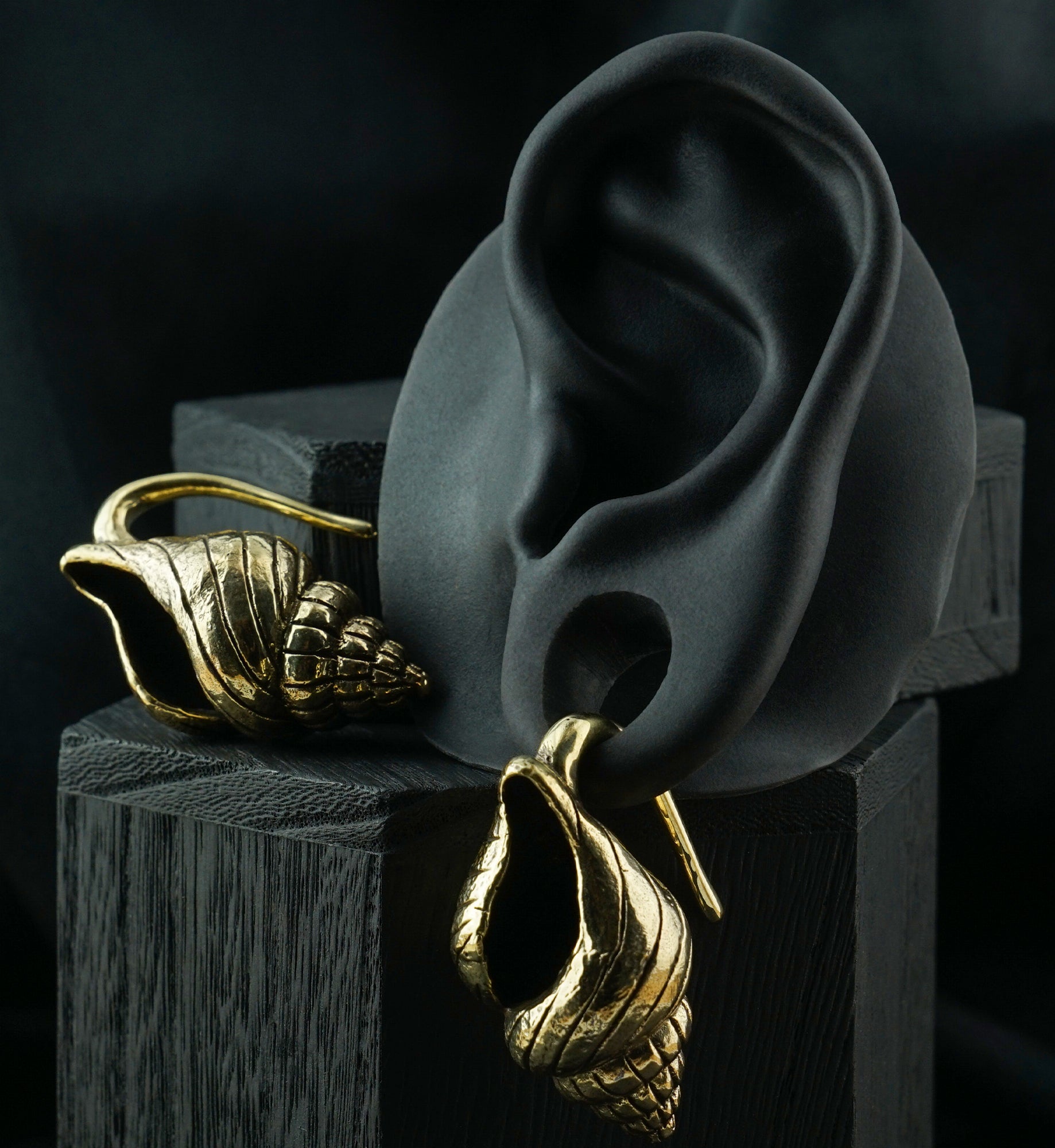 Conch Shell Brass Ear Weights