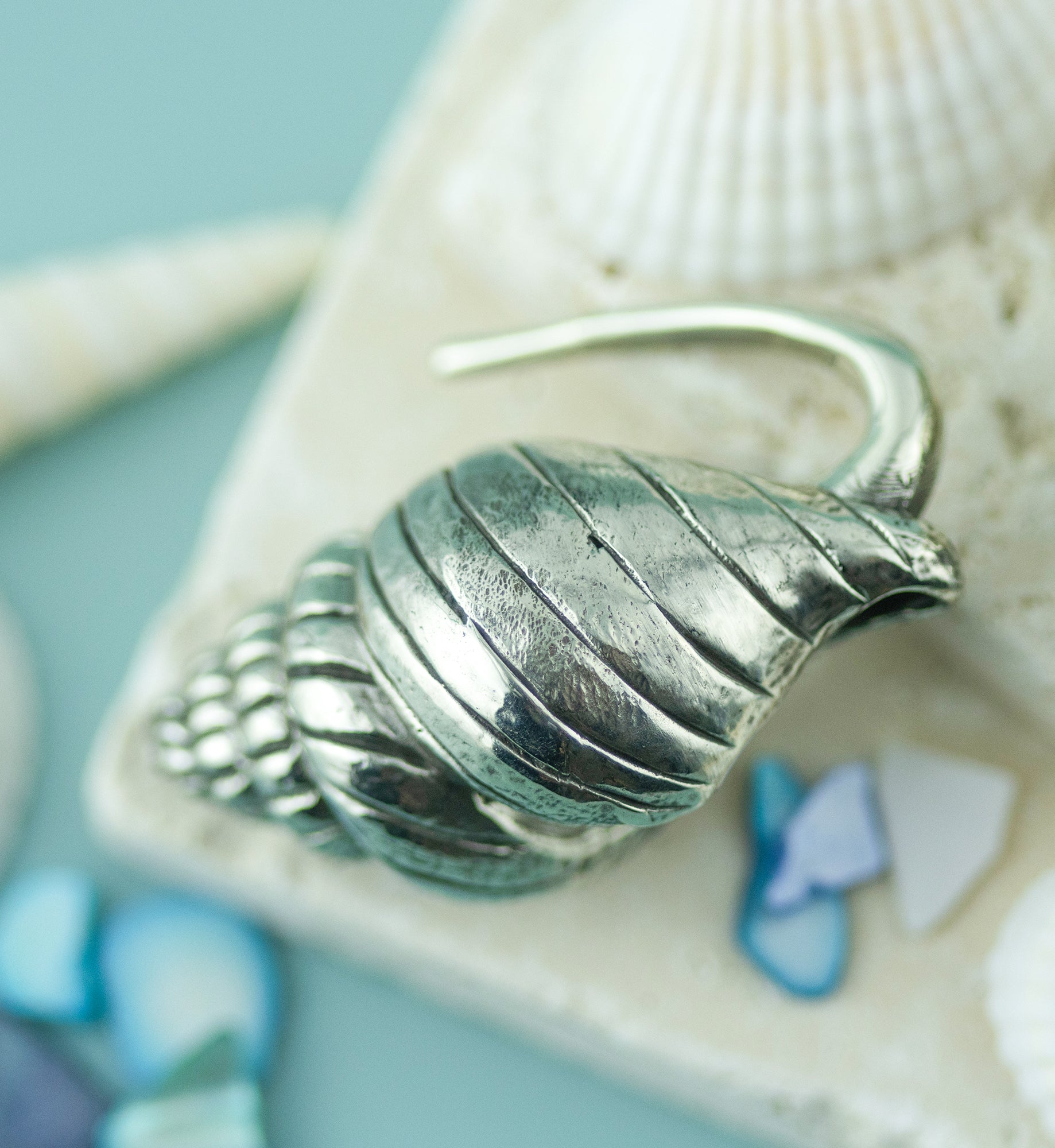 Conch Shell White Brass Ear Weights