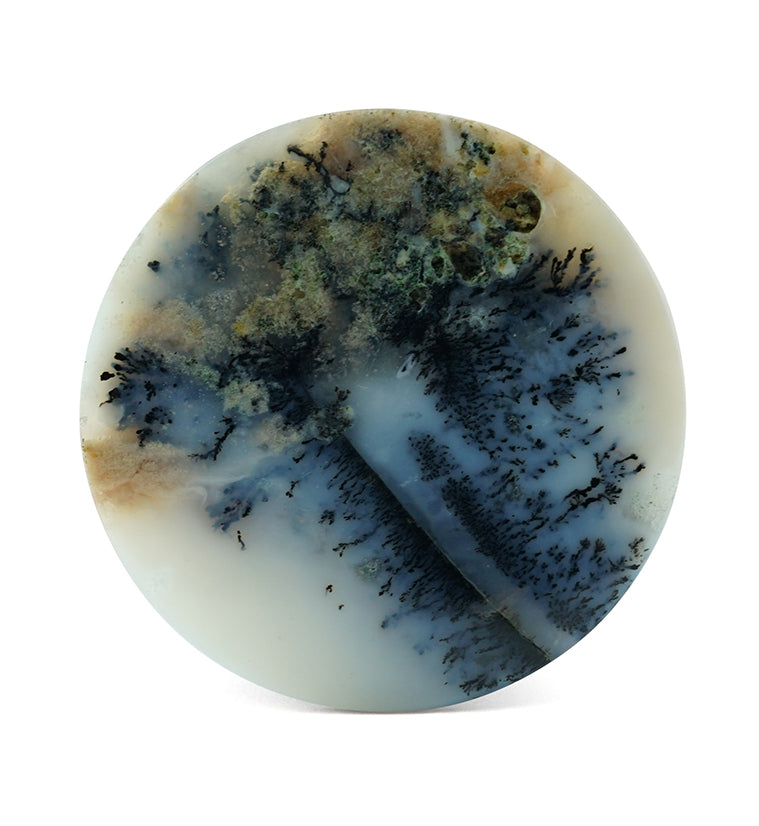Dendrite Agate Stone Plugs