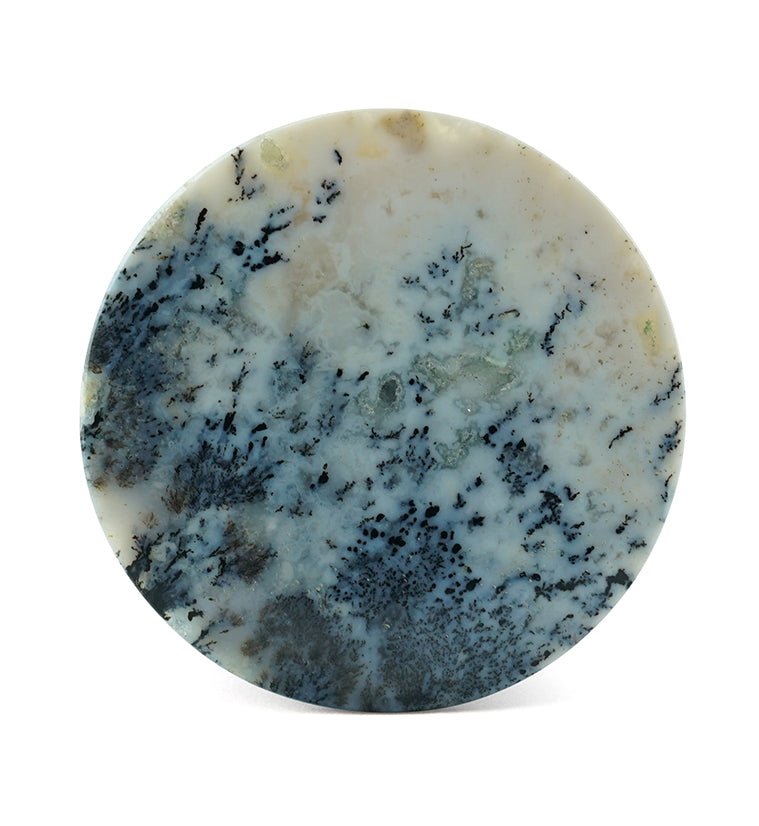 Dendrite Agate Stone Plugs