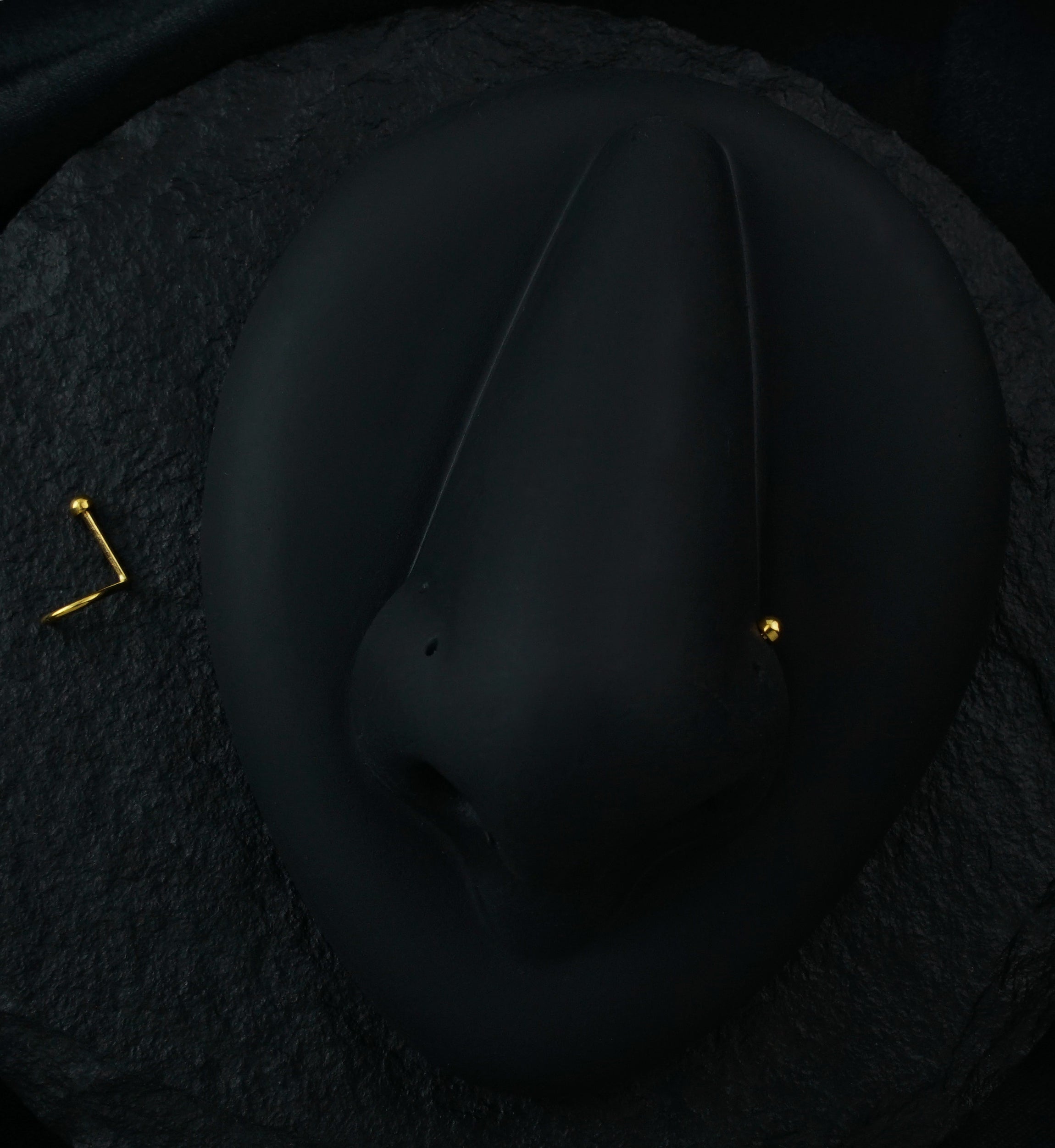 Dome Color Stainless Steel Nose Screw