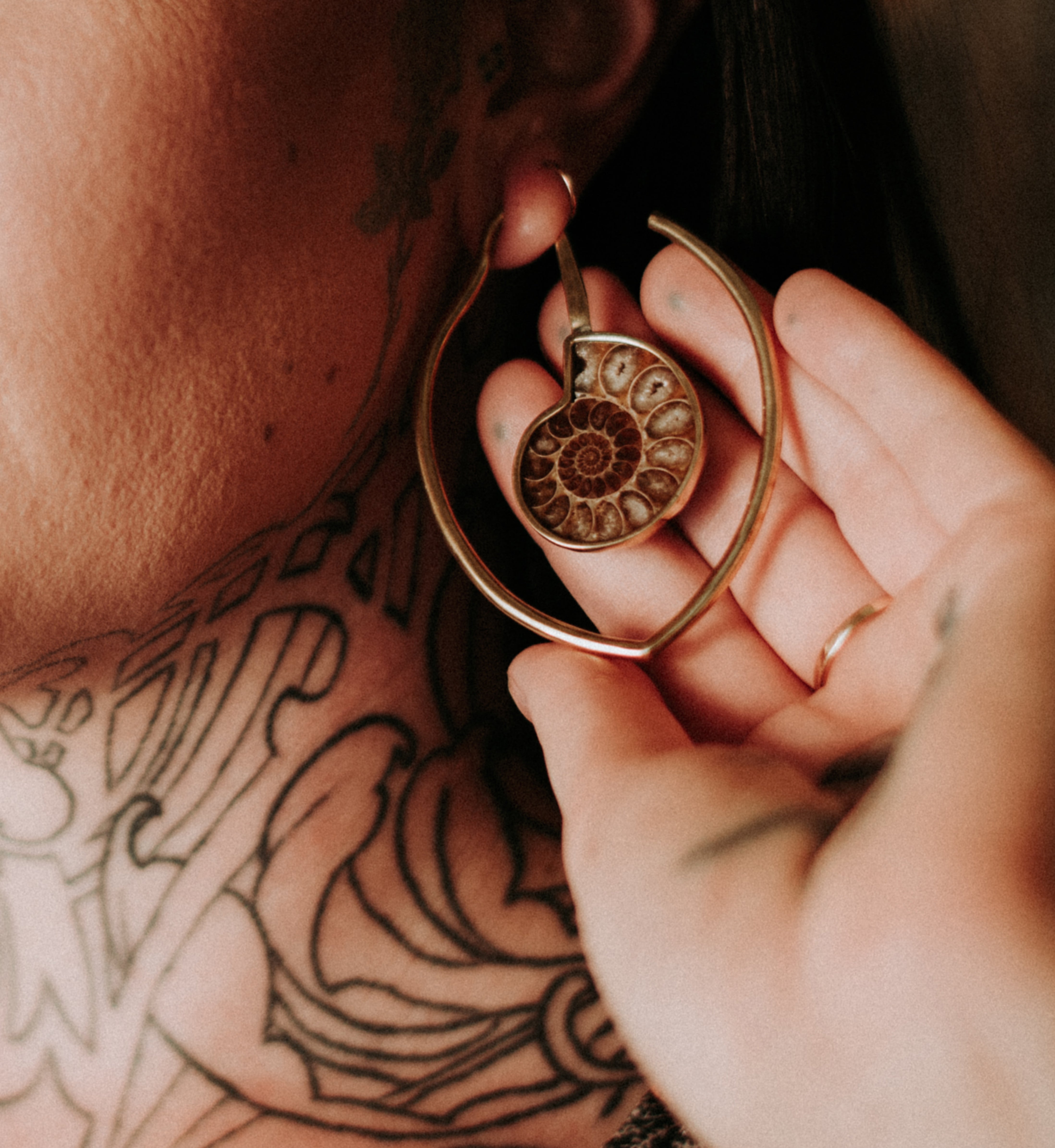 Drop Ammonite Fossil Teardrop Ear Weights