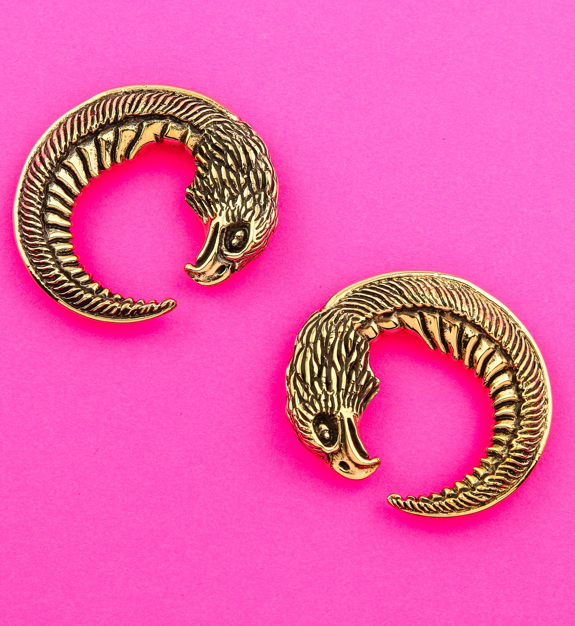 Eagle Head Circular Brass Ear Weights