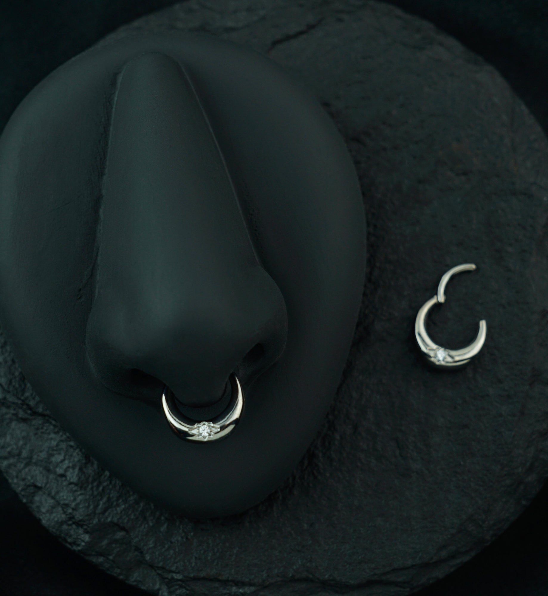 Etched Star Clear CZ Titanium Hinged Segment Ring