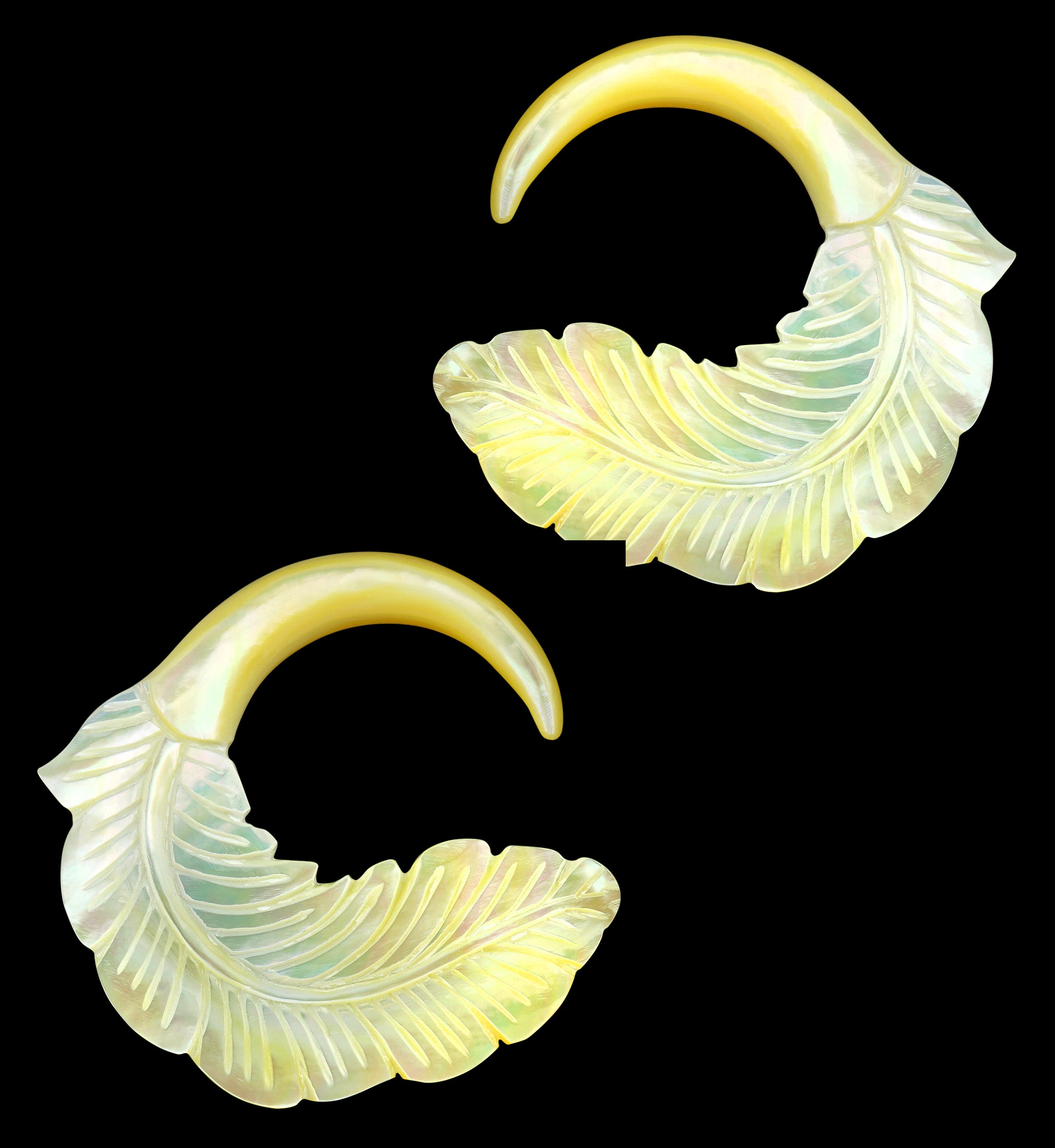 Feather Mother of Pearl Hangers