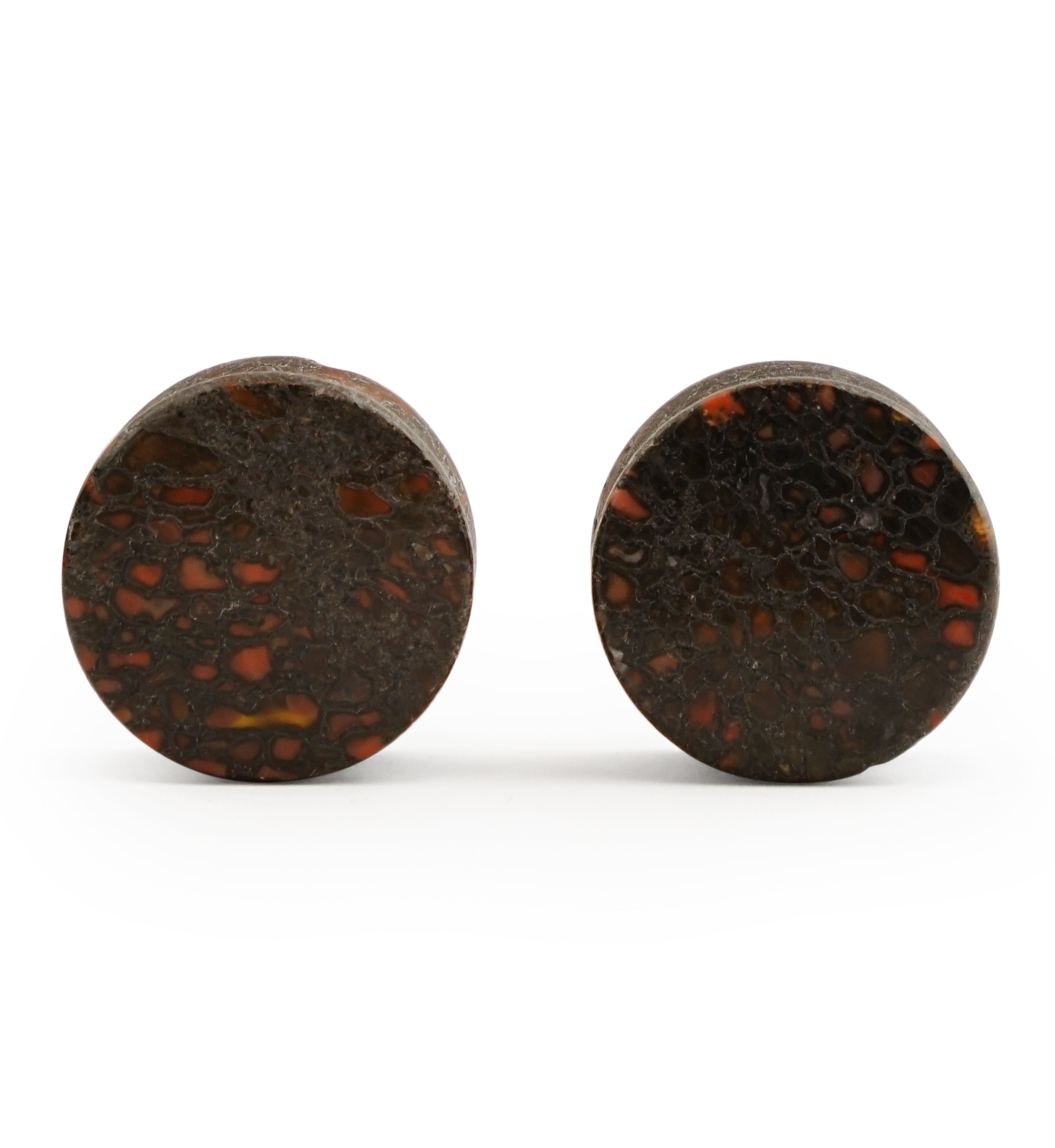 Fossilized Dinosaur Bone Plugs 3/4" (19mm) Version 5